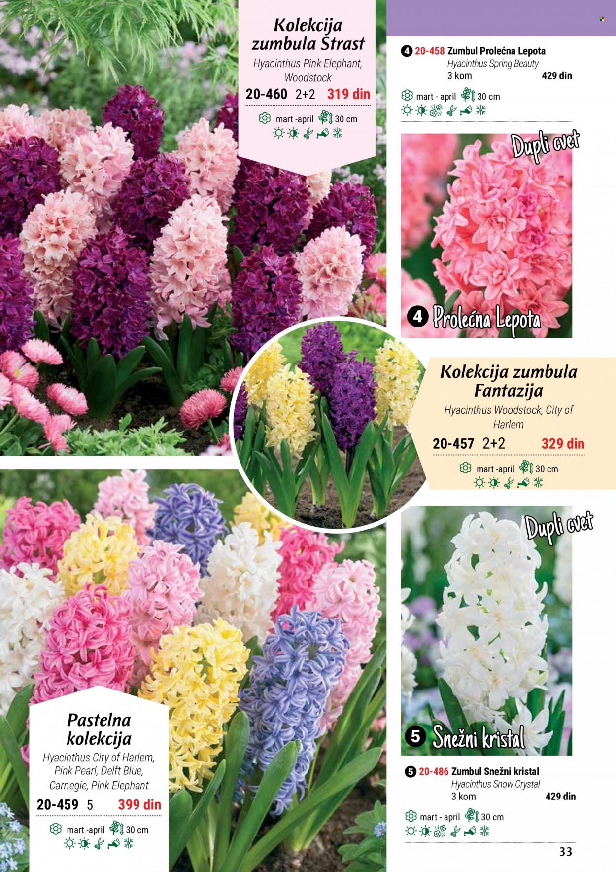 Flora Ekspres katalog. Stranica 33