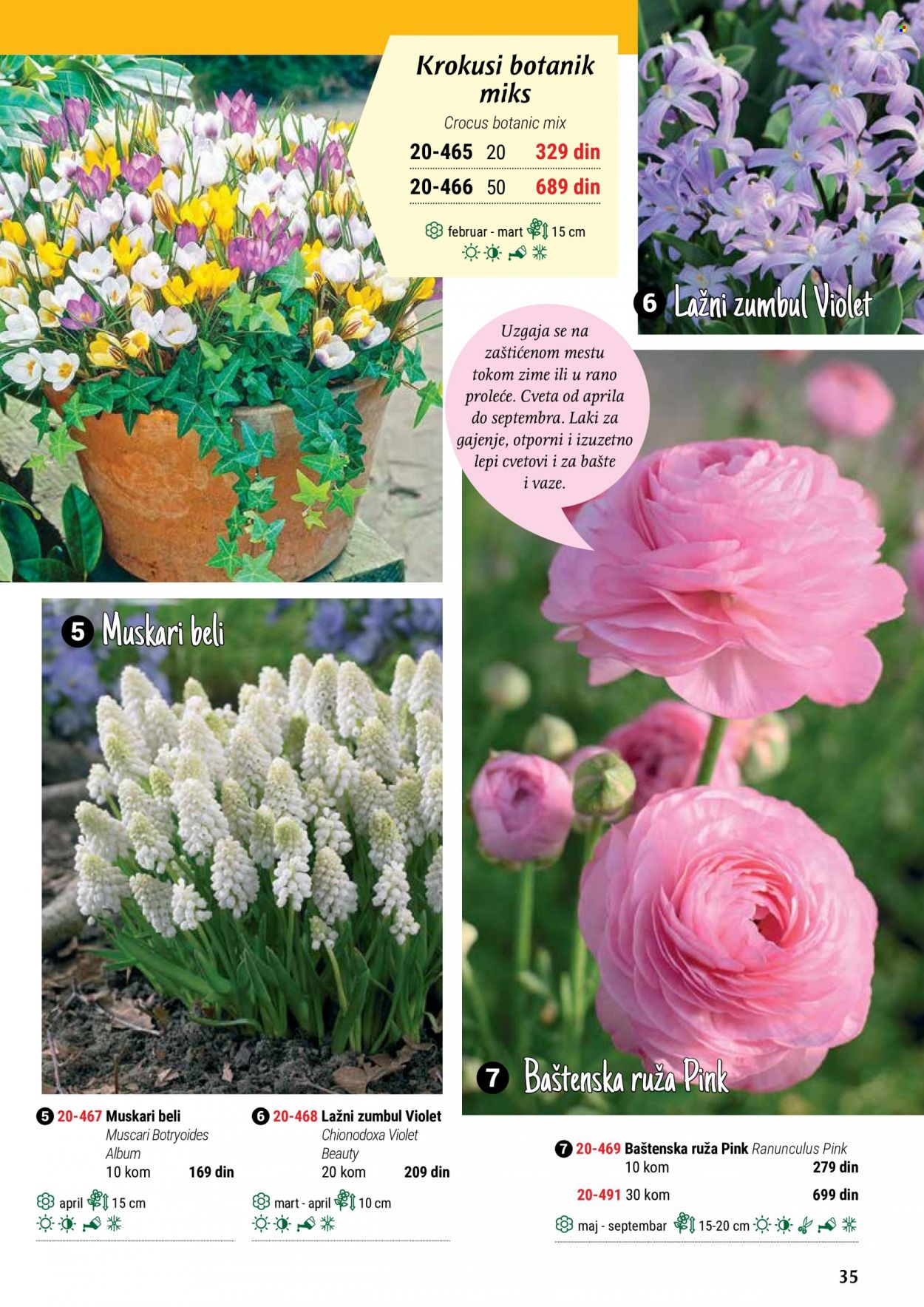 Flora Ekspres katalog. Stranica 35