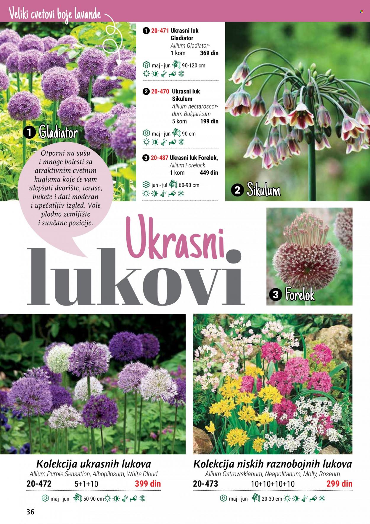 Flora Ekspres katalog. Stranica 36
