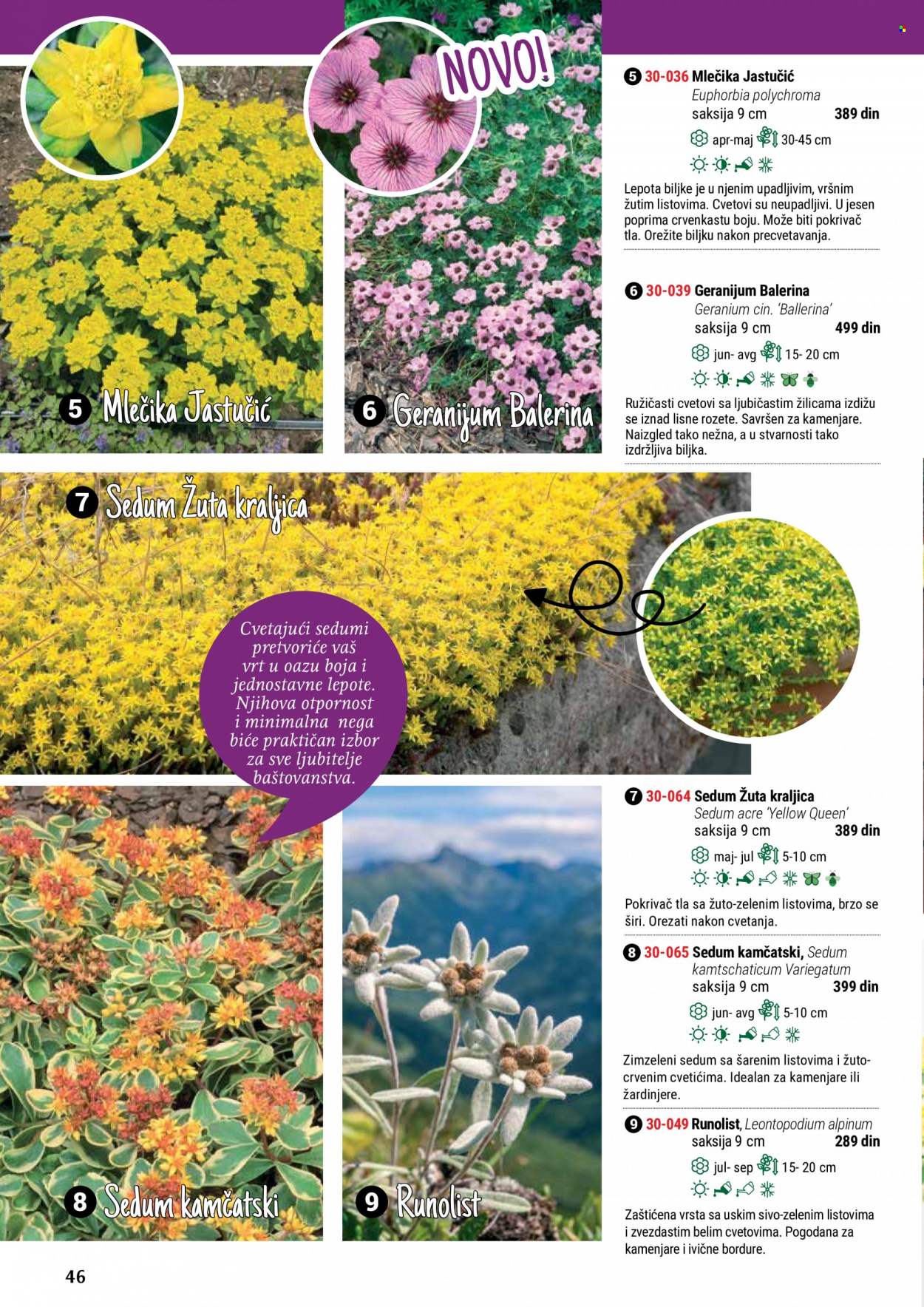 Flora Ekspres katalog. Stranica 46