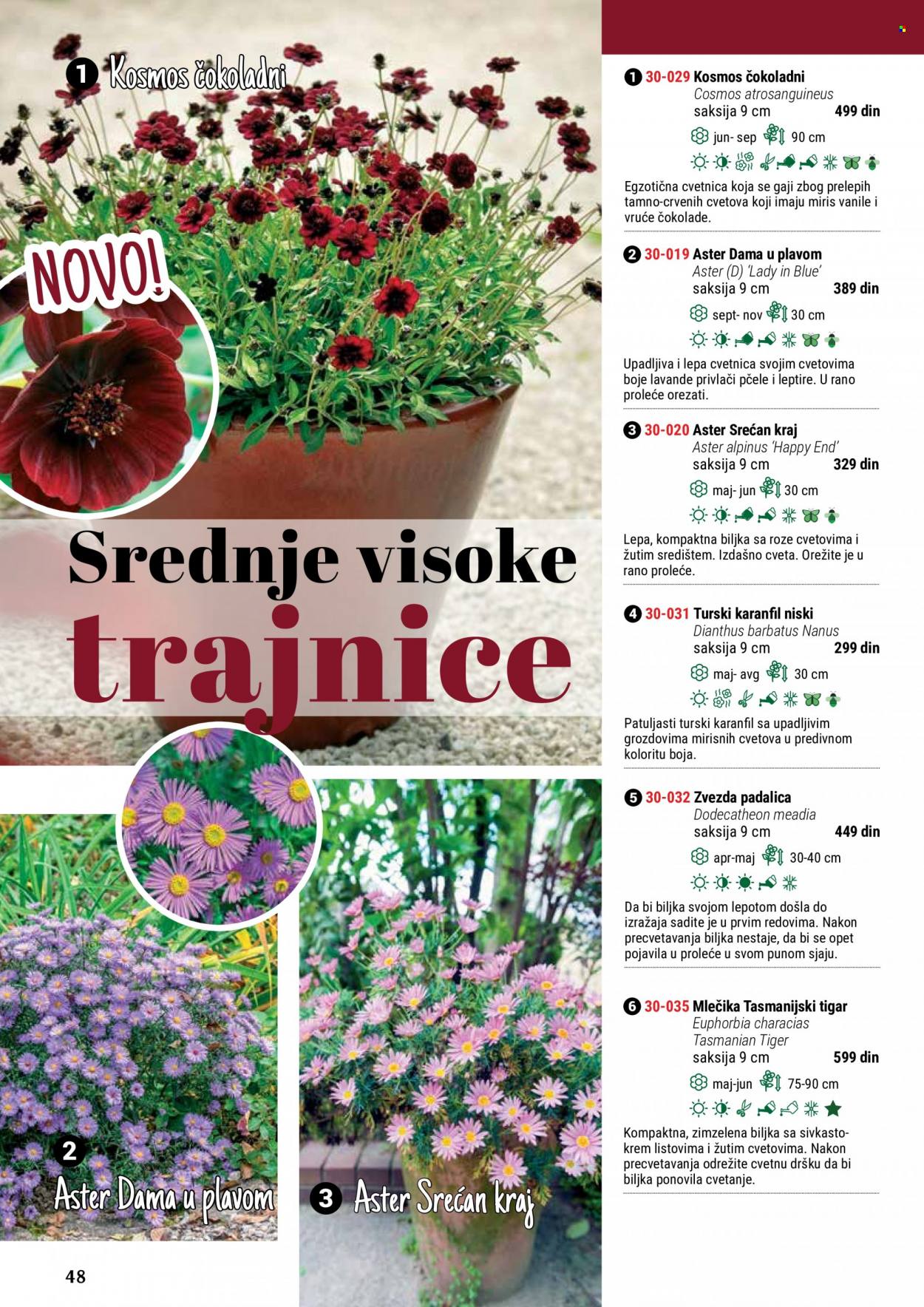Flora Ekspres katalog. Stranica 48