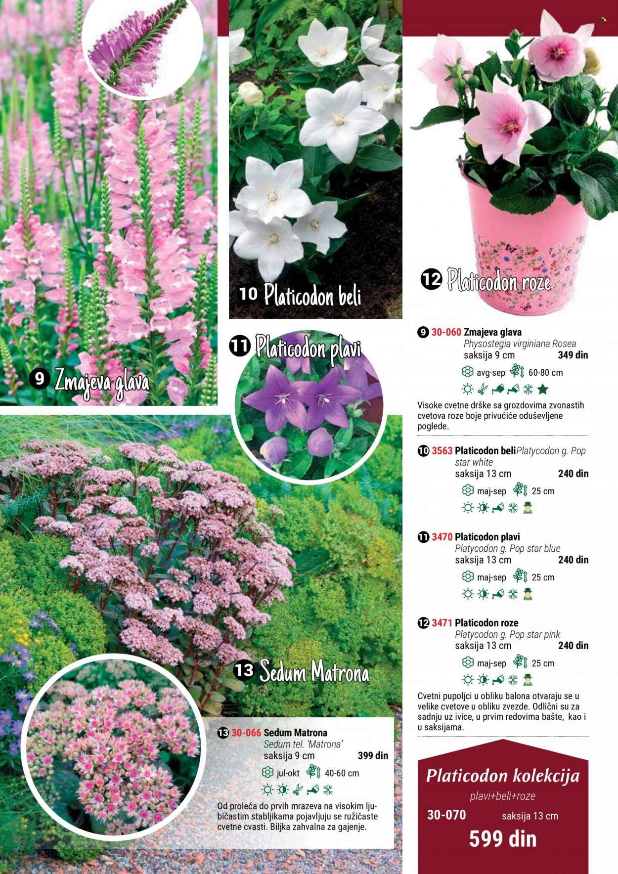 Flora Ekspres katalog. Stranica 50
