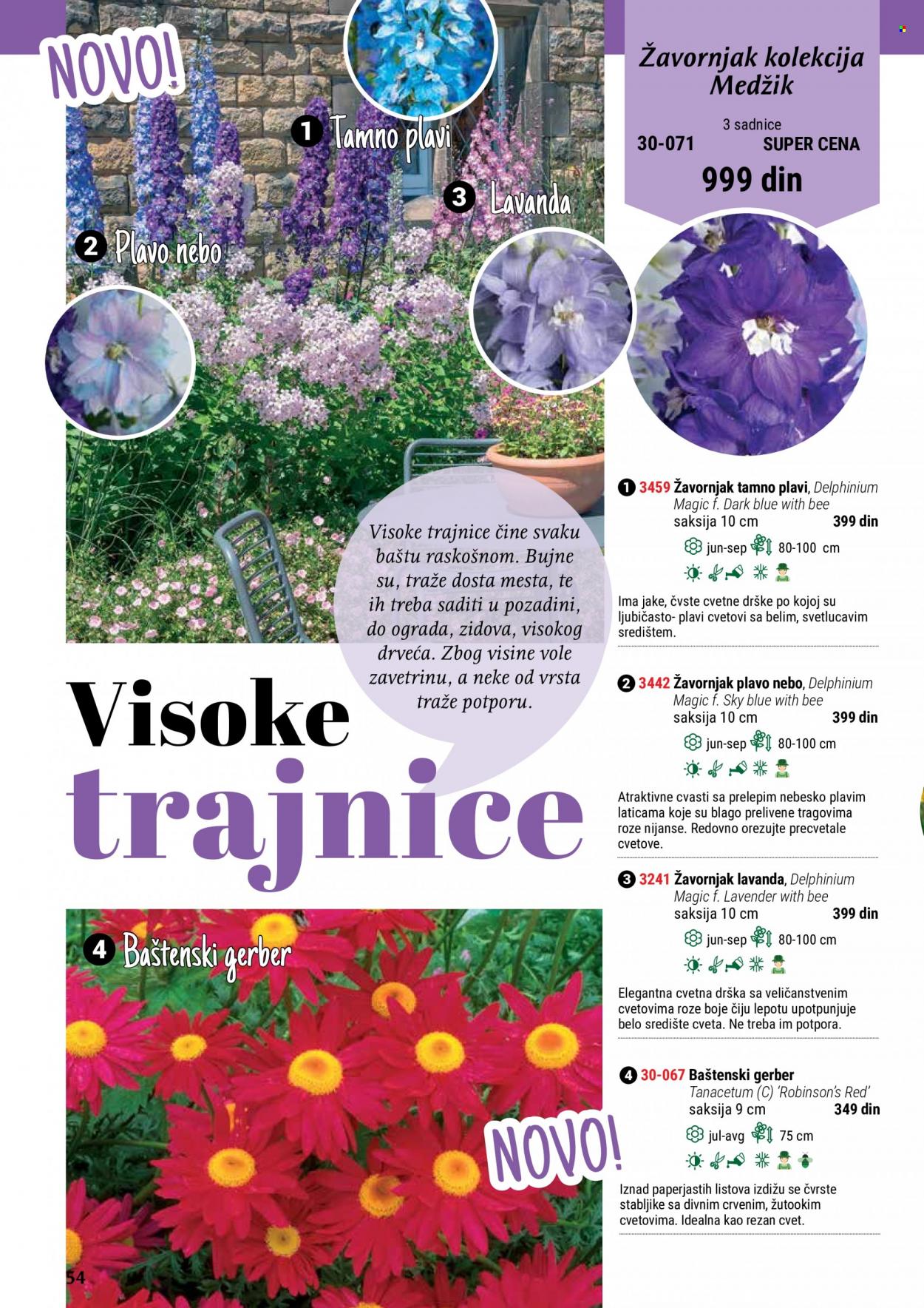 Flora Ekspres katalog. Stranica 54