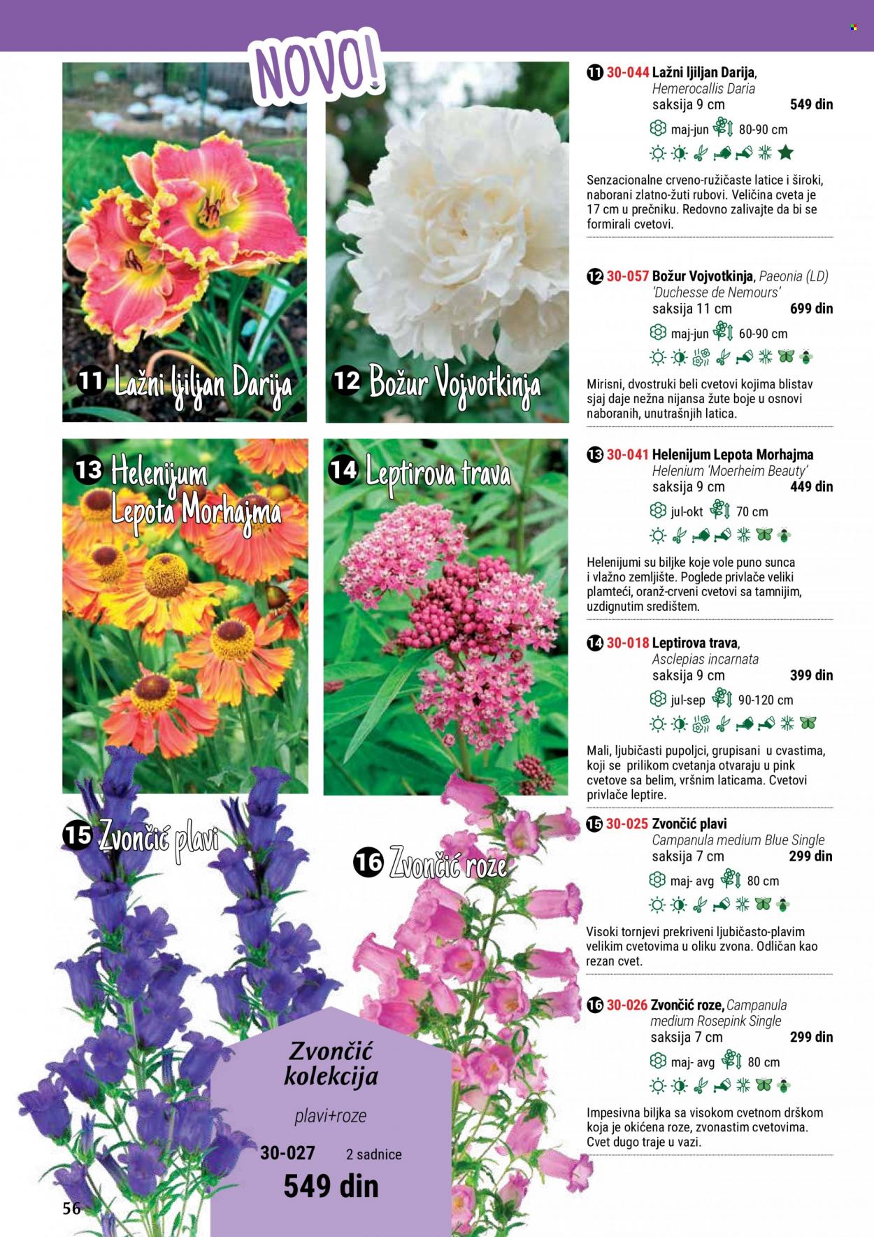 Flora Ekspres katalog. Stranica 56