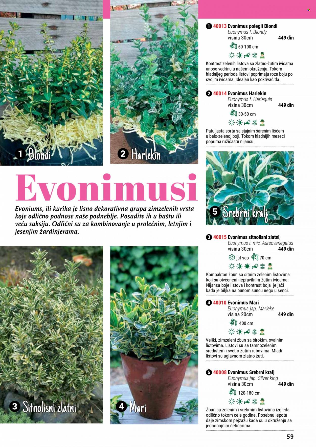 Flora Ekspres katalog. Stranica 59
