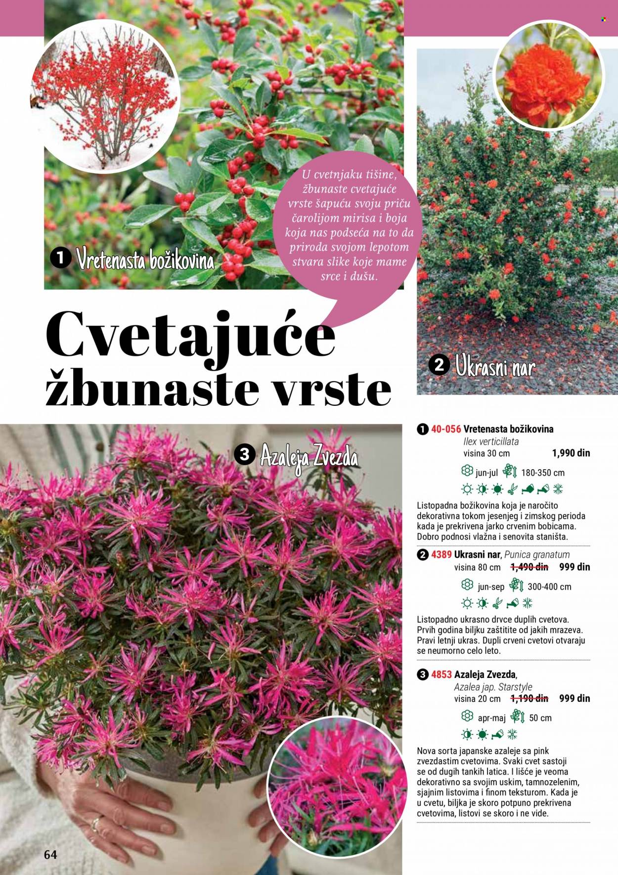 Flora Ekspres katalog. Stranica 64