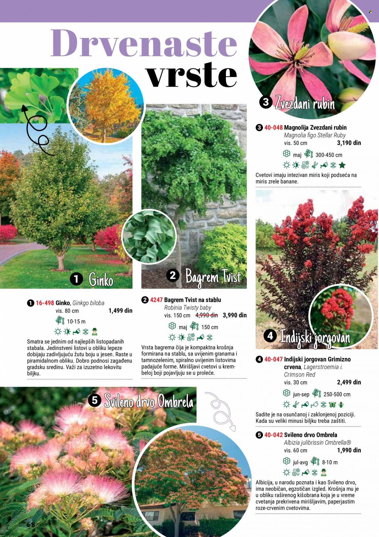 Flora Ekspres katalog. Stranica 68