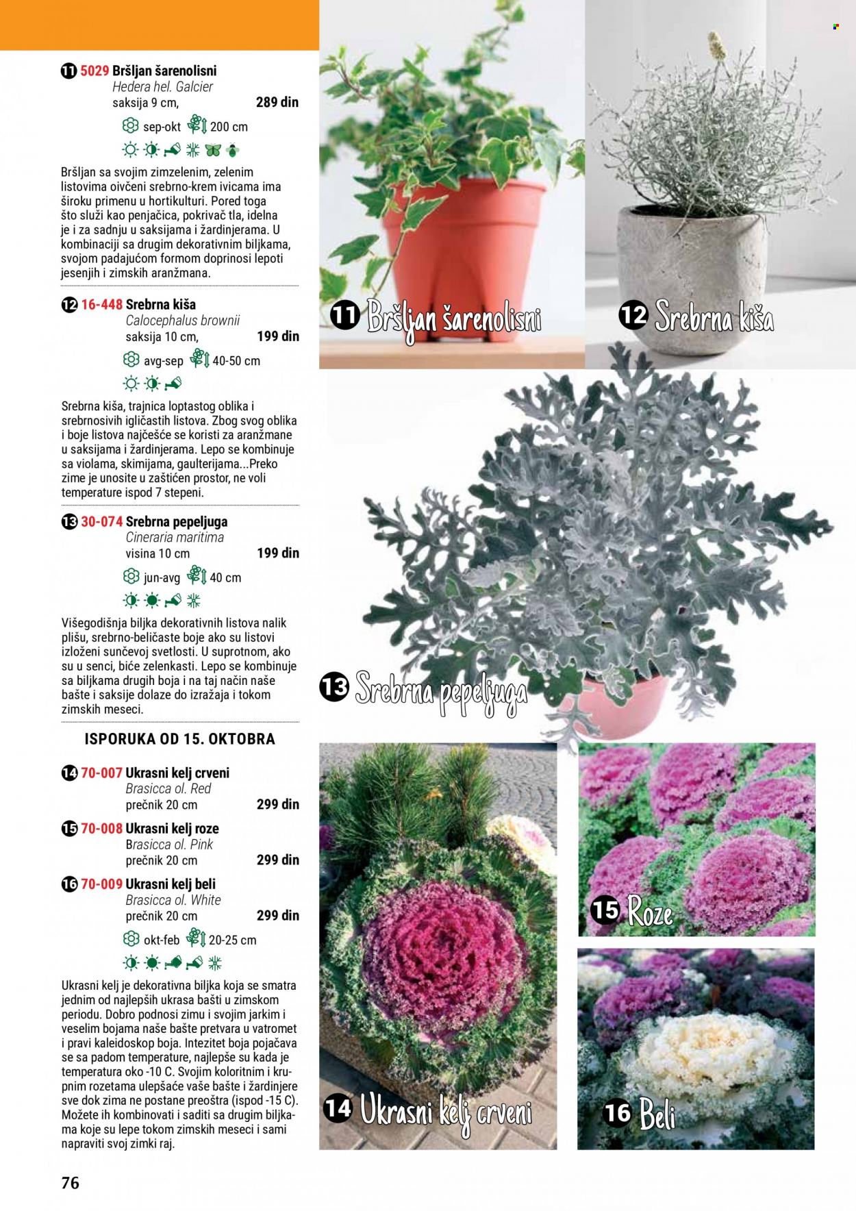 Flora Ekspres katalog. Stranica 76