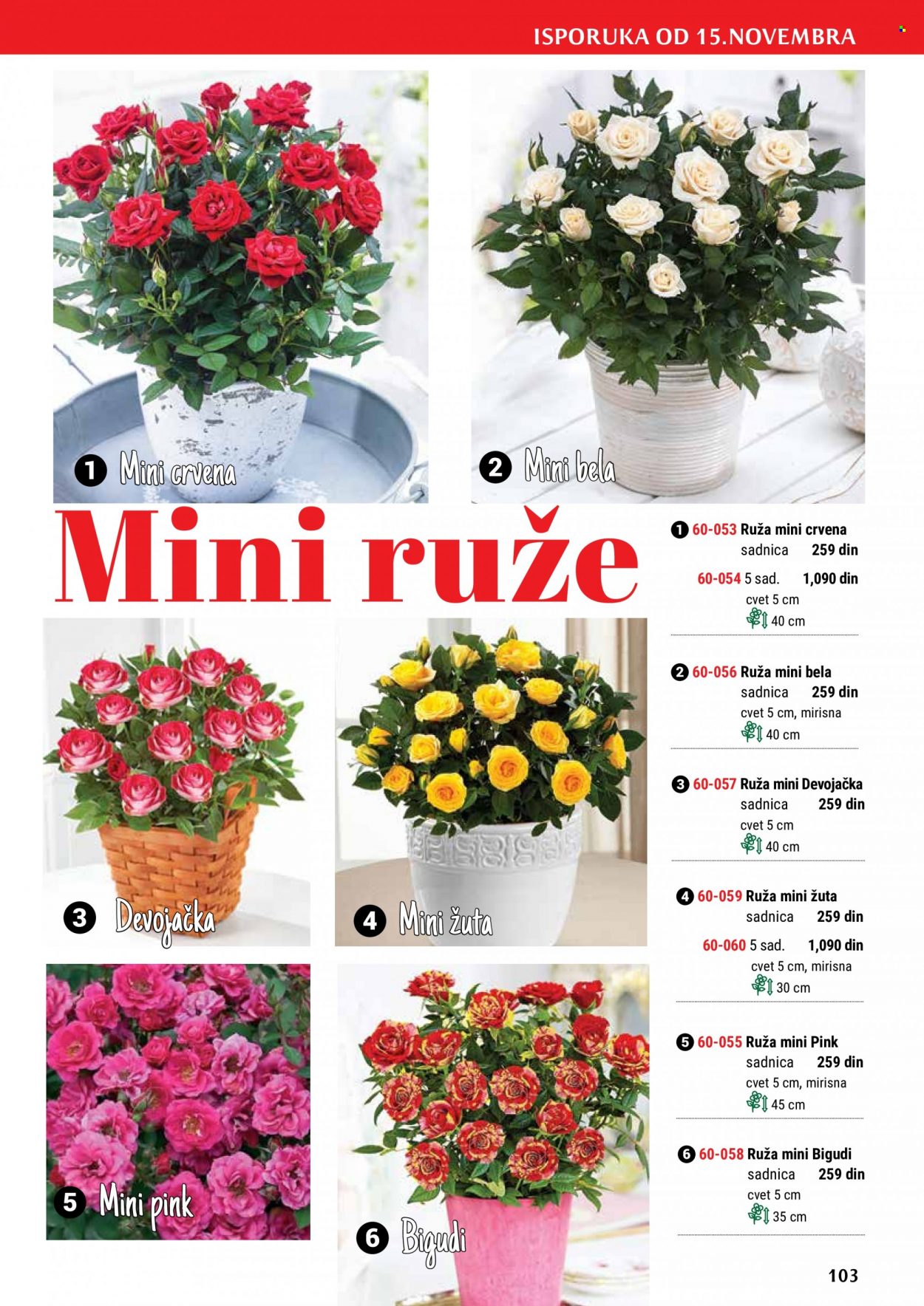 Flora Ekspres katalog. Stranica 103