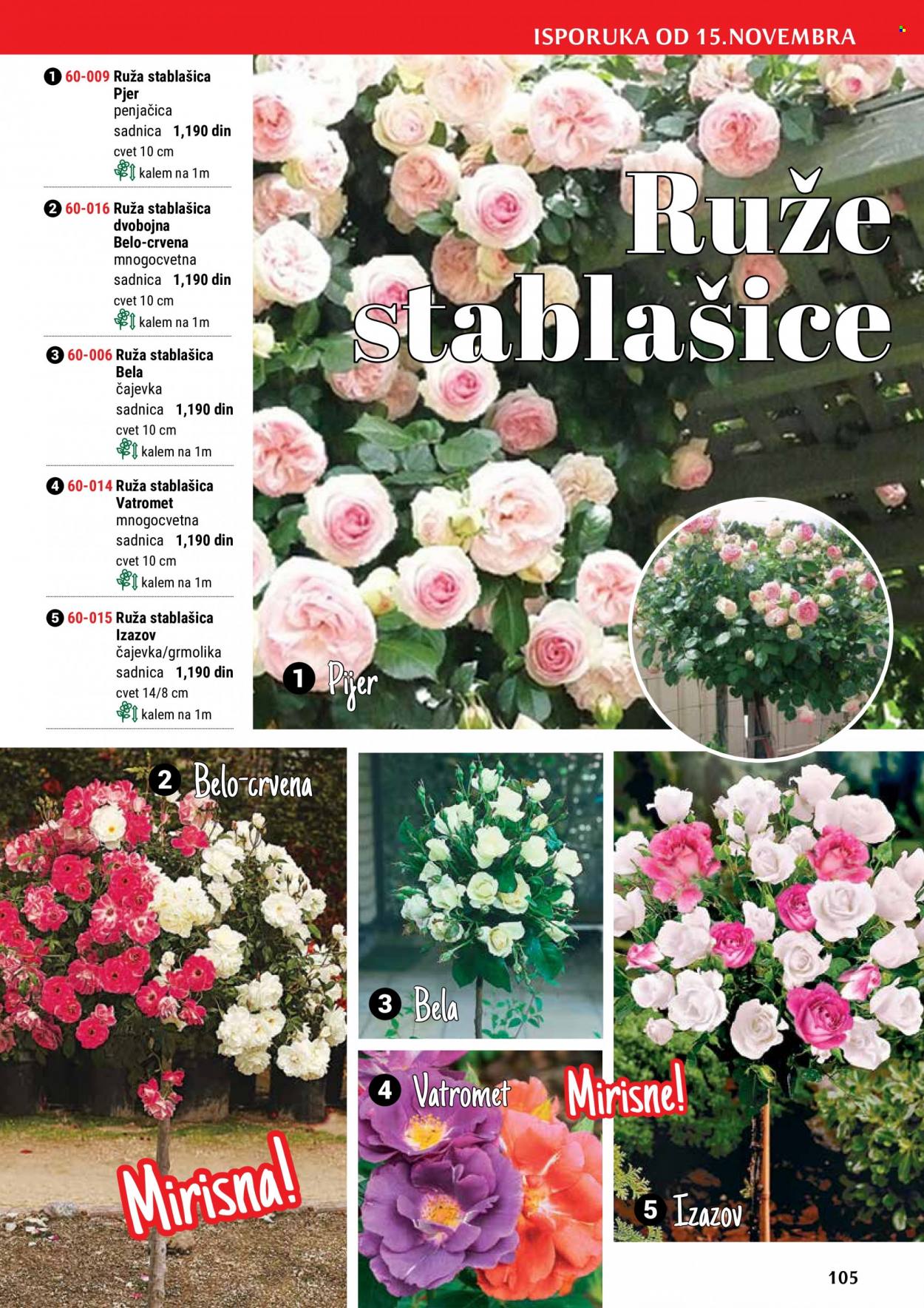 Flora Ekspres katalog. Stranica 105