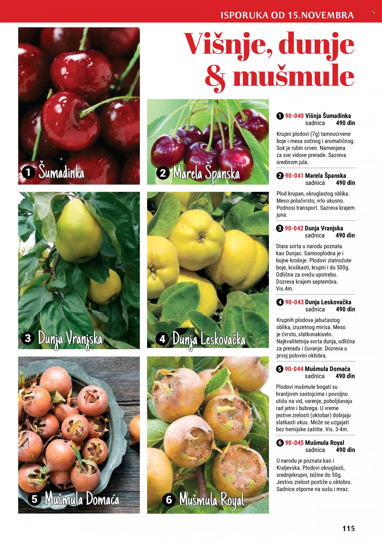 Flora Ekspres katalog. Stranica 115