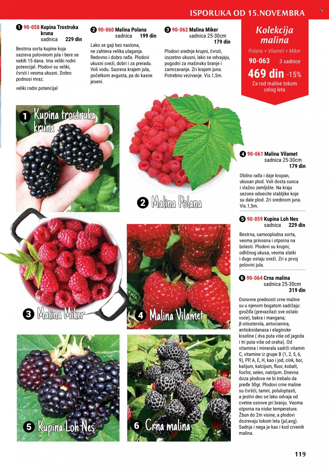 Flora Ekspres katalog. Stranica 119