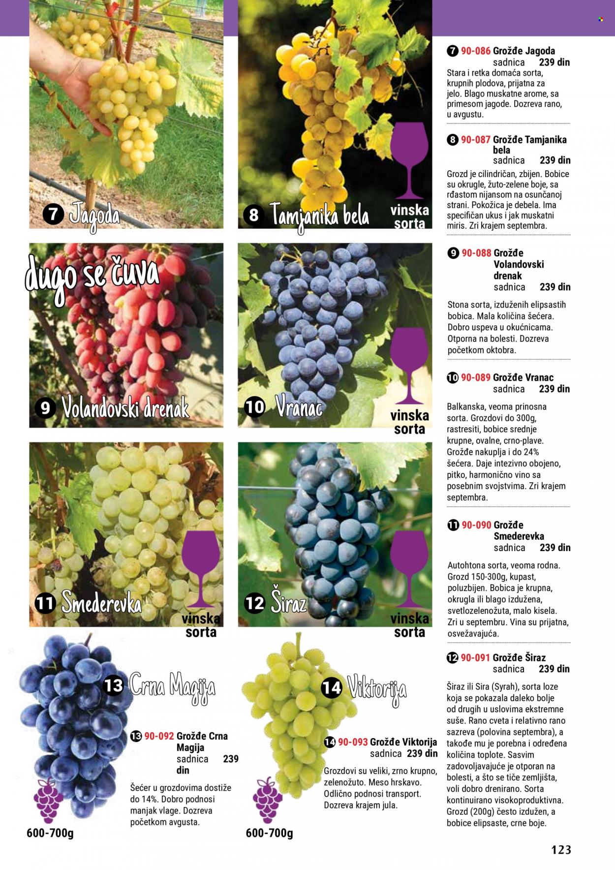 Flora Ekspres katalog. Stranica 123