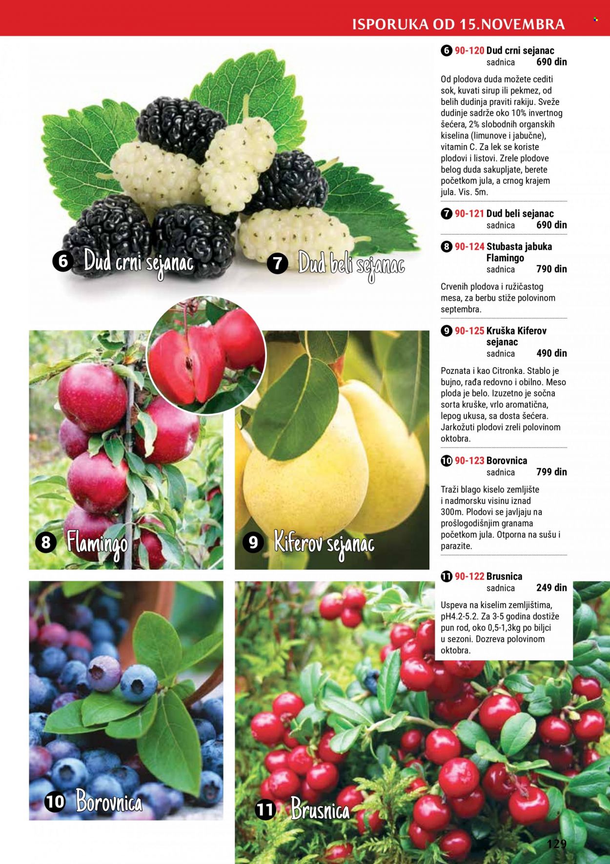 Flora Ekspres katalog. Stranica 129
