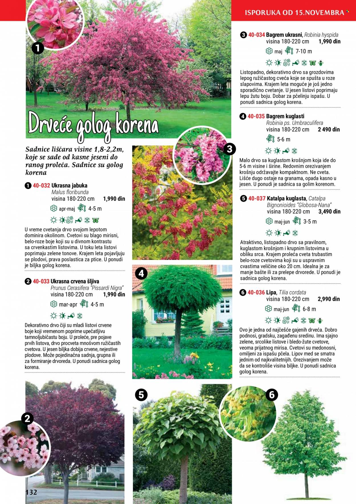 Flora Ekspres katalog. Stranica 132