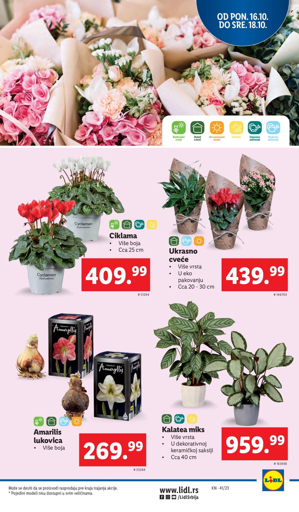 Lidl katalog - 12.10.2023 - 18.10.2023. Stranica 29
