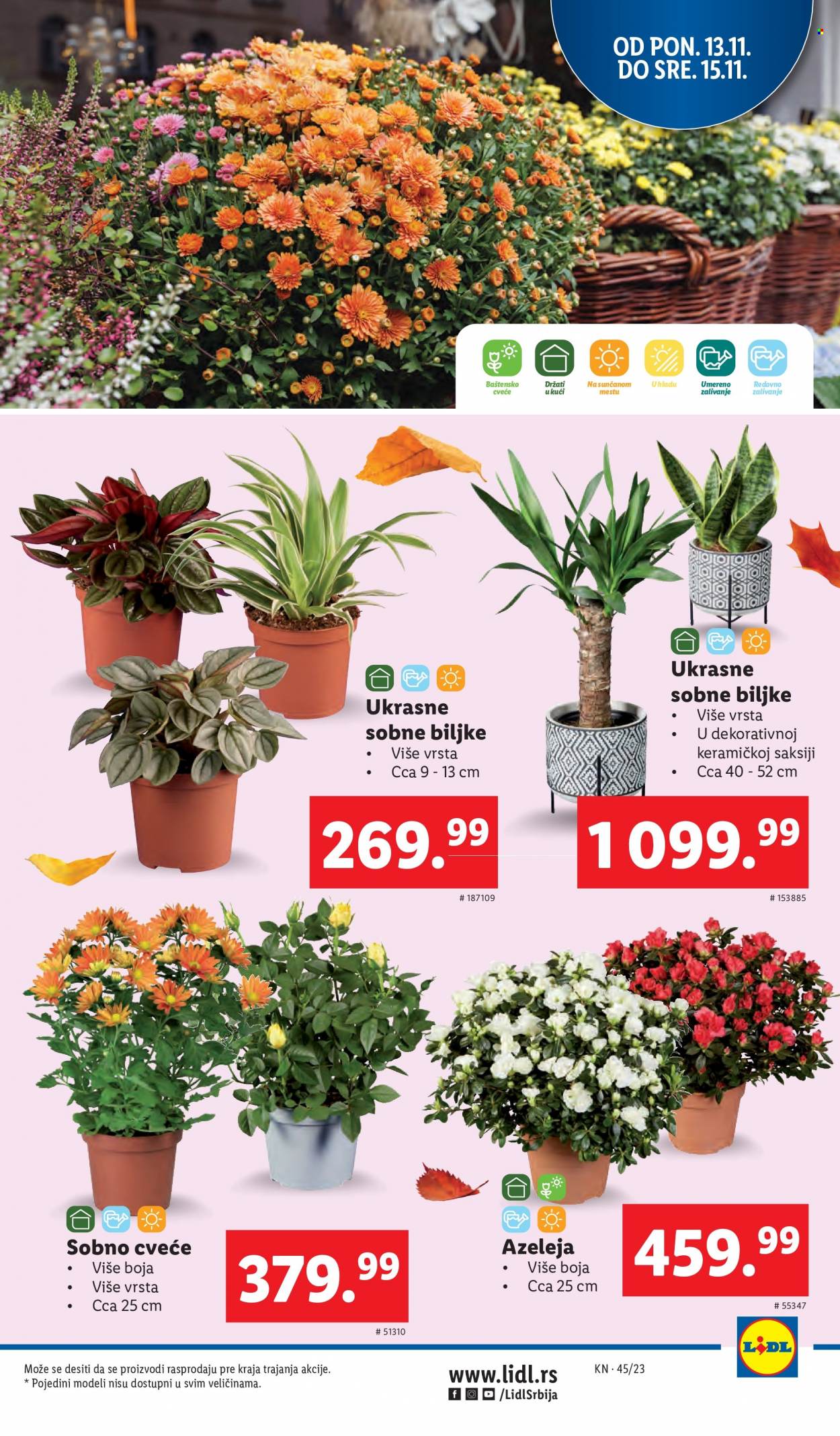 Lidl katalog - 09.11.2023 - 15.11.2023. Stranica 23