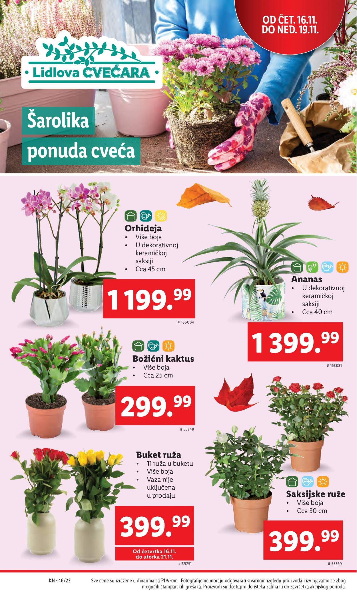 Lidl katalog - 16.11.2023 - 22.11.2023. Stranica 34