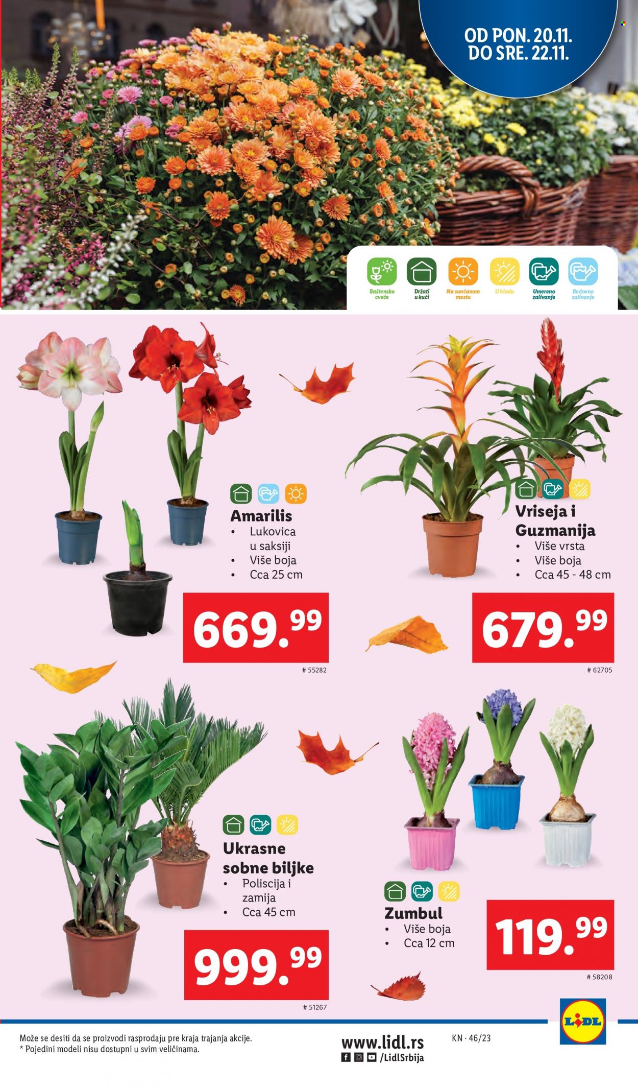 Lidl katalog - 16.11.2023 - 22.11.2023. Stranica 35