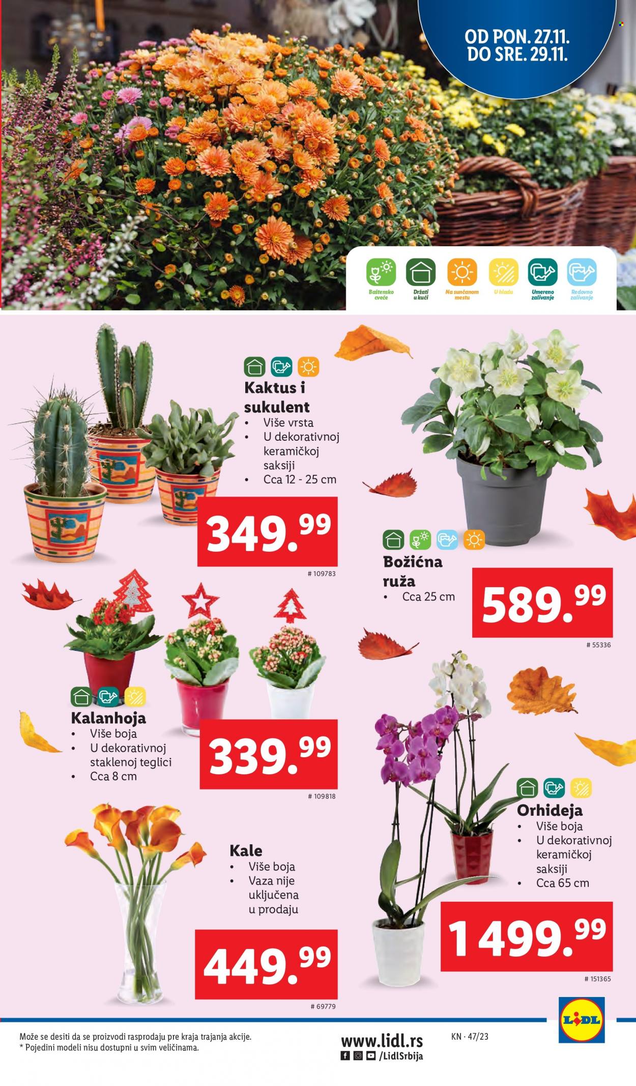 Lidl katalog - 23.11.2023 - 29.11.2023. Stranica 29
