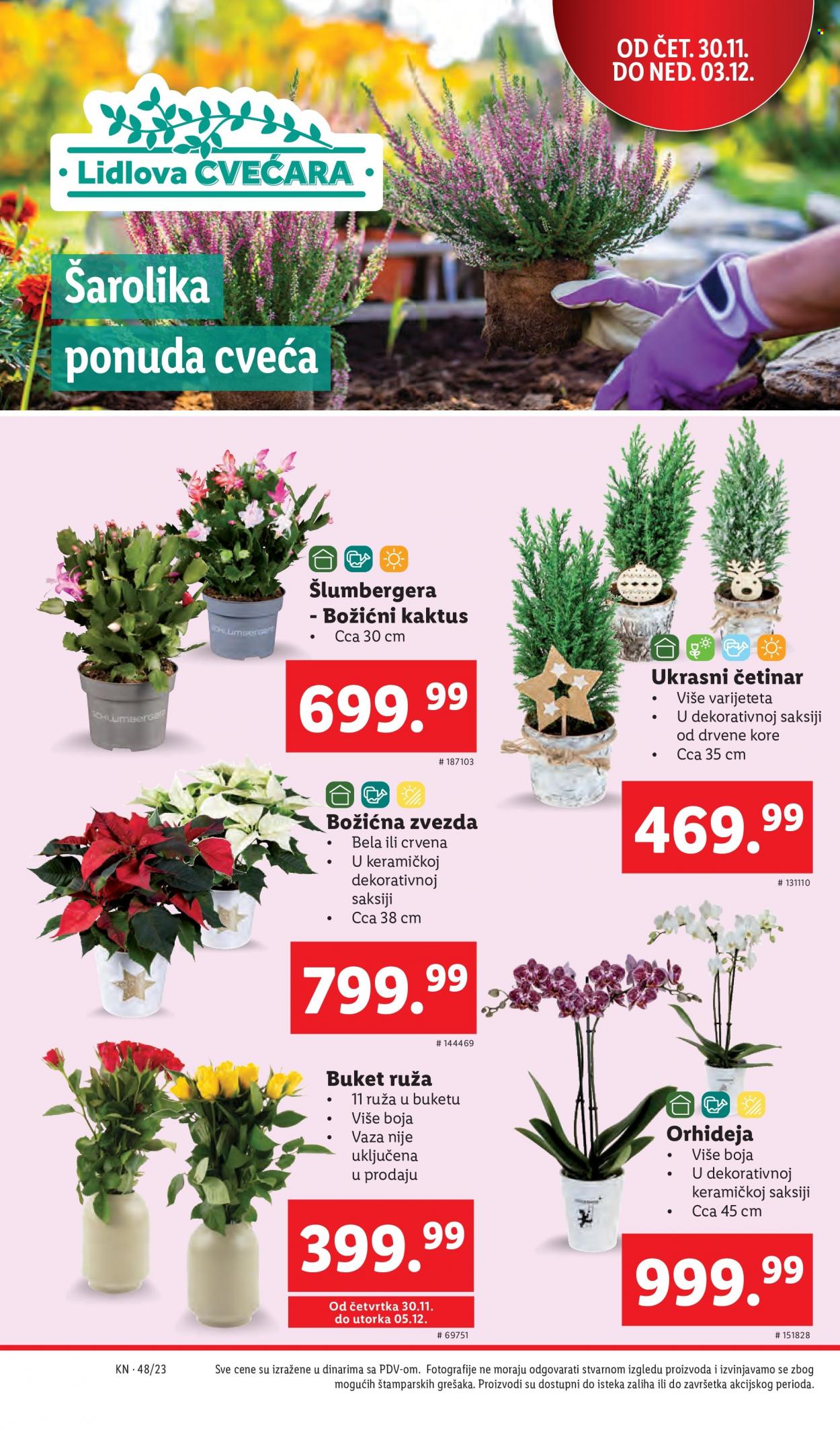 Lidl katalog - 30.11.2023 - 06.12.2023. Stranica 20
