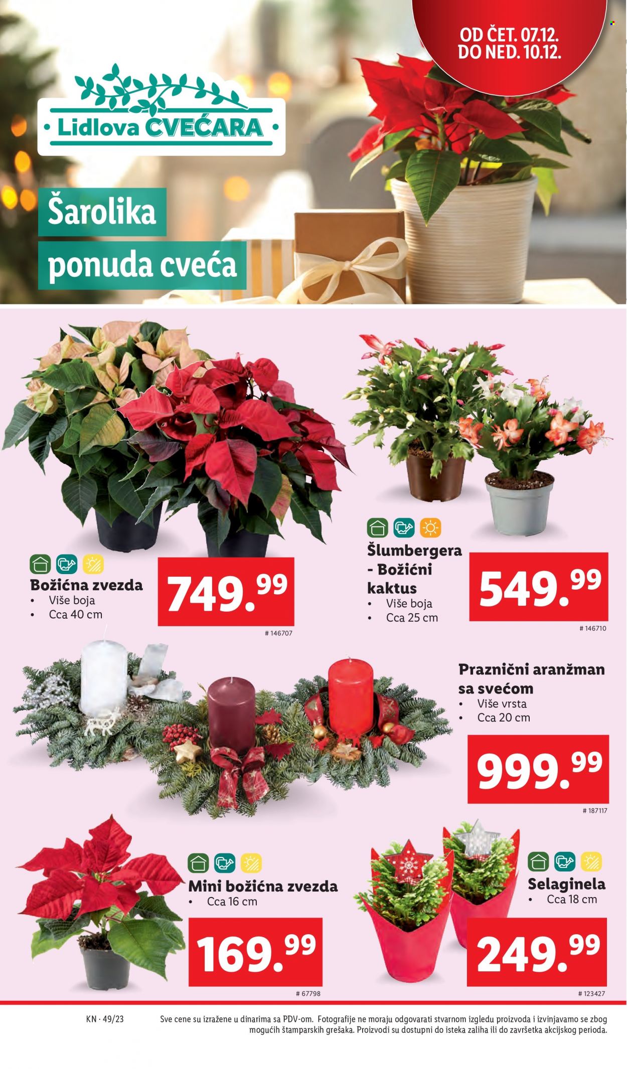 Lidl katalog - 07.12.2023 - 13.12.2023. Stranica 26