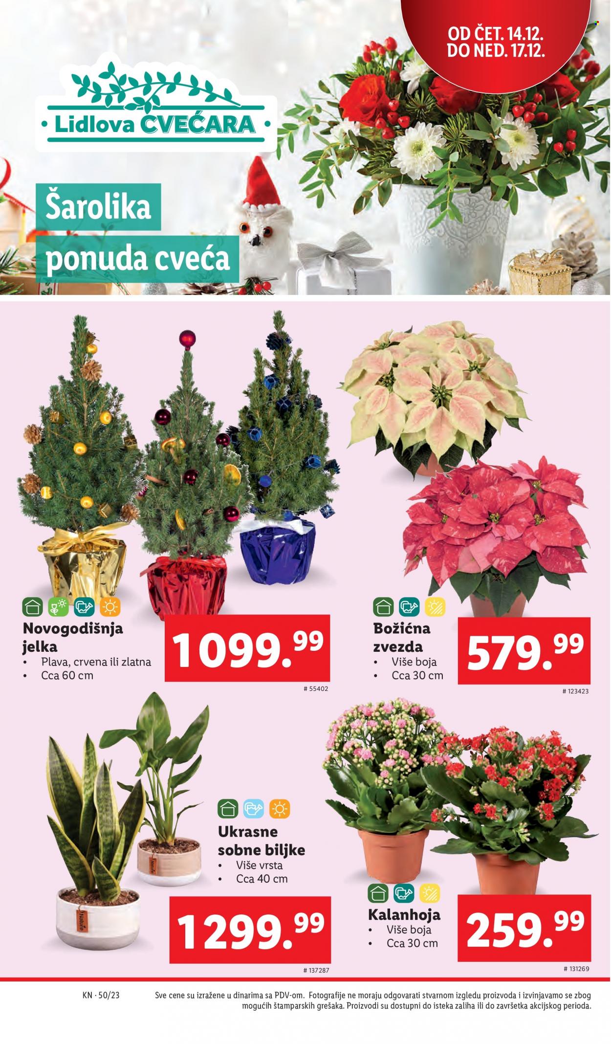 Lidl katalog - 14.12.2023 - 20.12.2023. Stranica 28