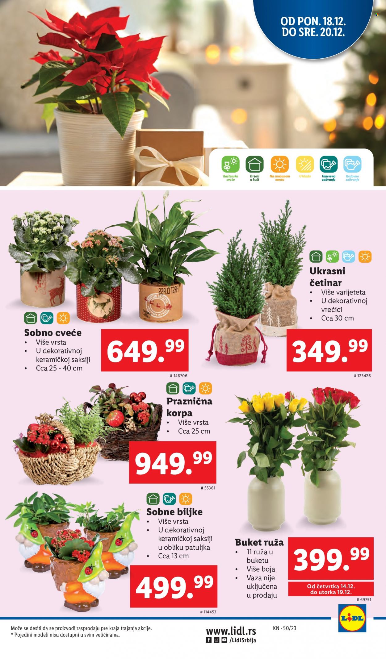 Lidl katalog - 14.12.2023 - 20.12.2023. Stranica 29