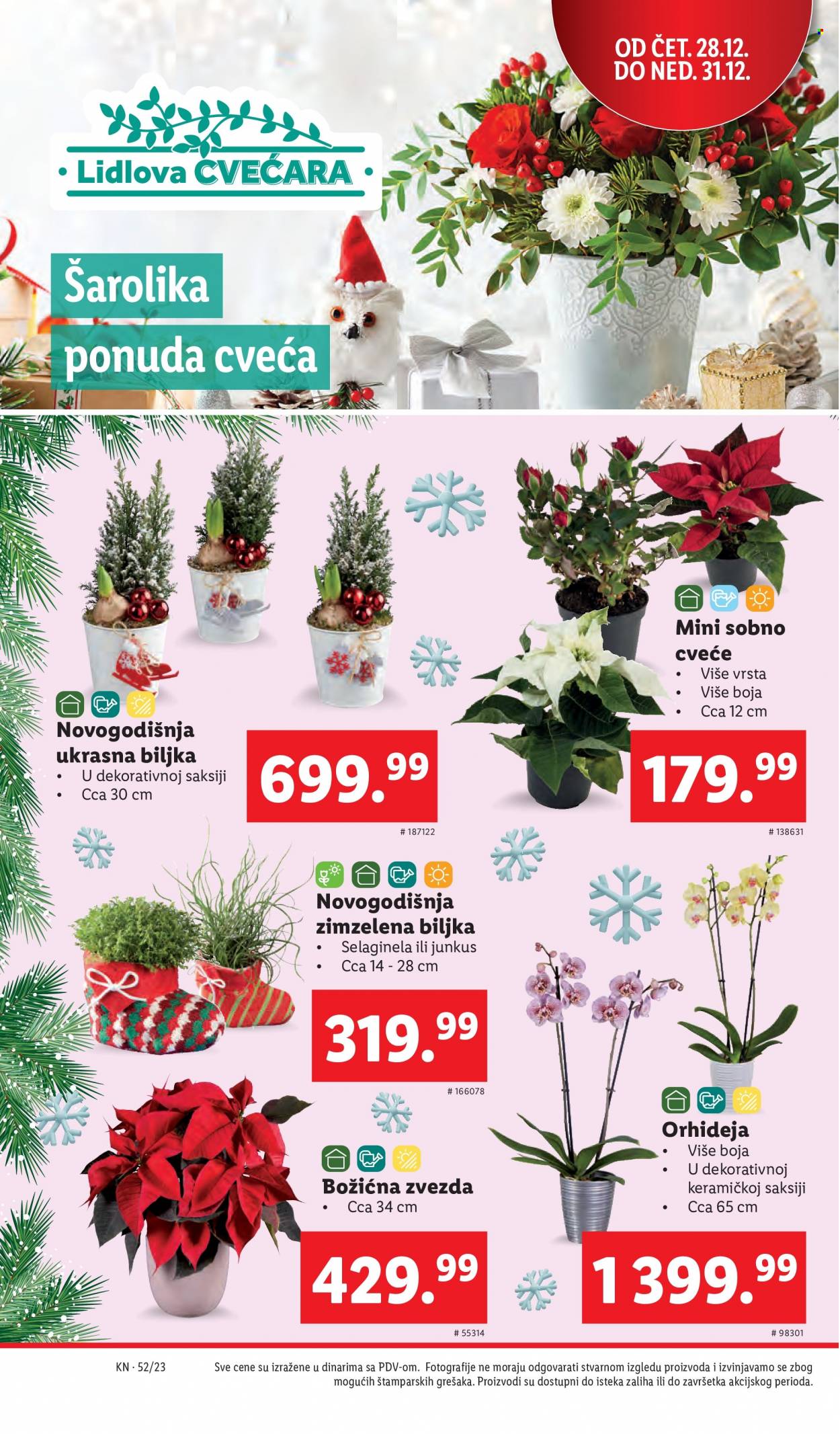 Lidl katalog - 28.12.2023 - 03.01.2024. Stranica 26