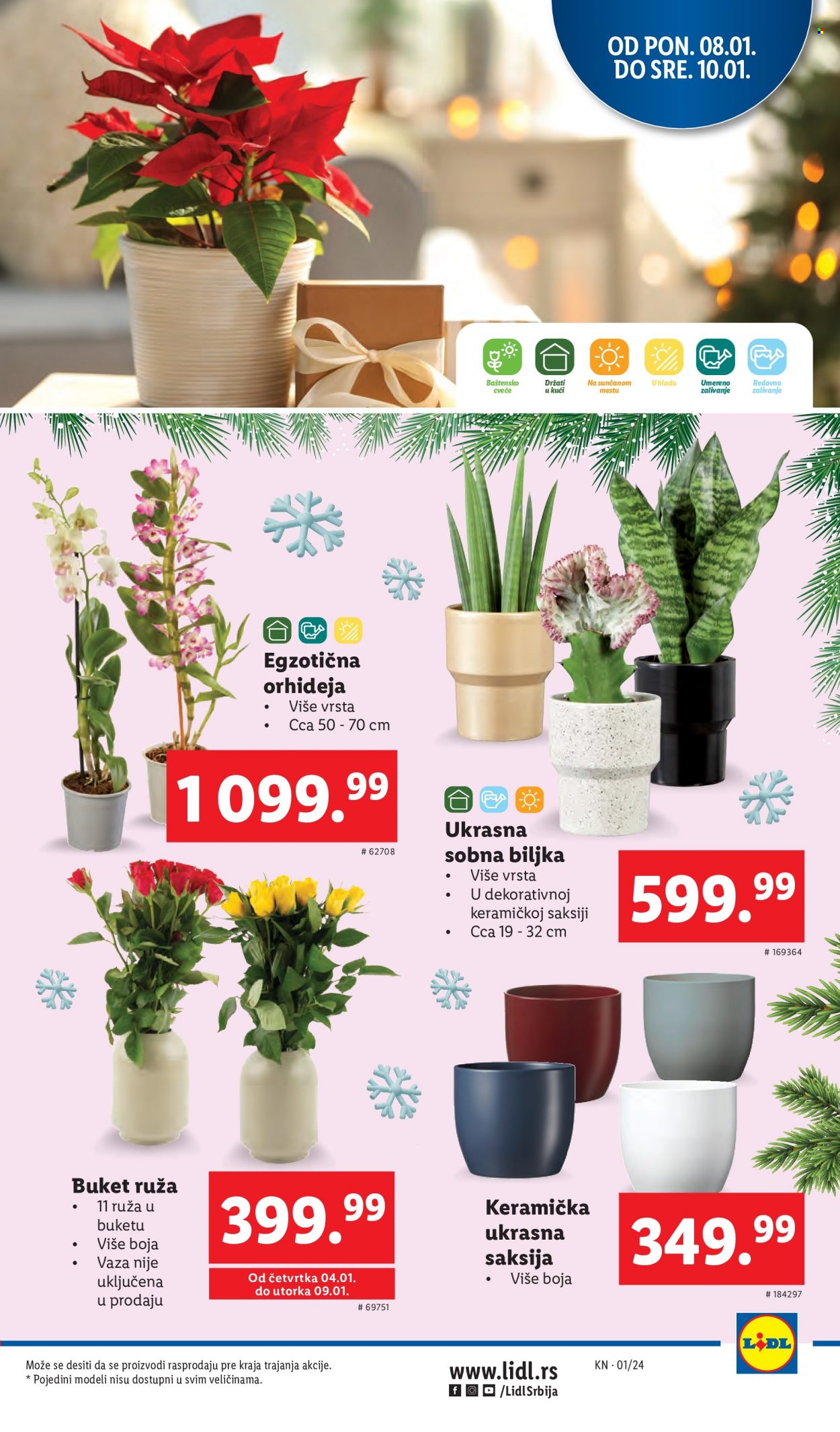 Lidl katalog - 04.01.2024 - 10.01.2024. Stranica 21