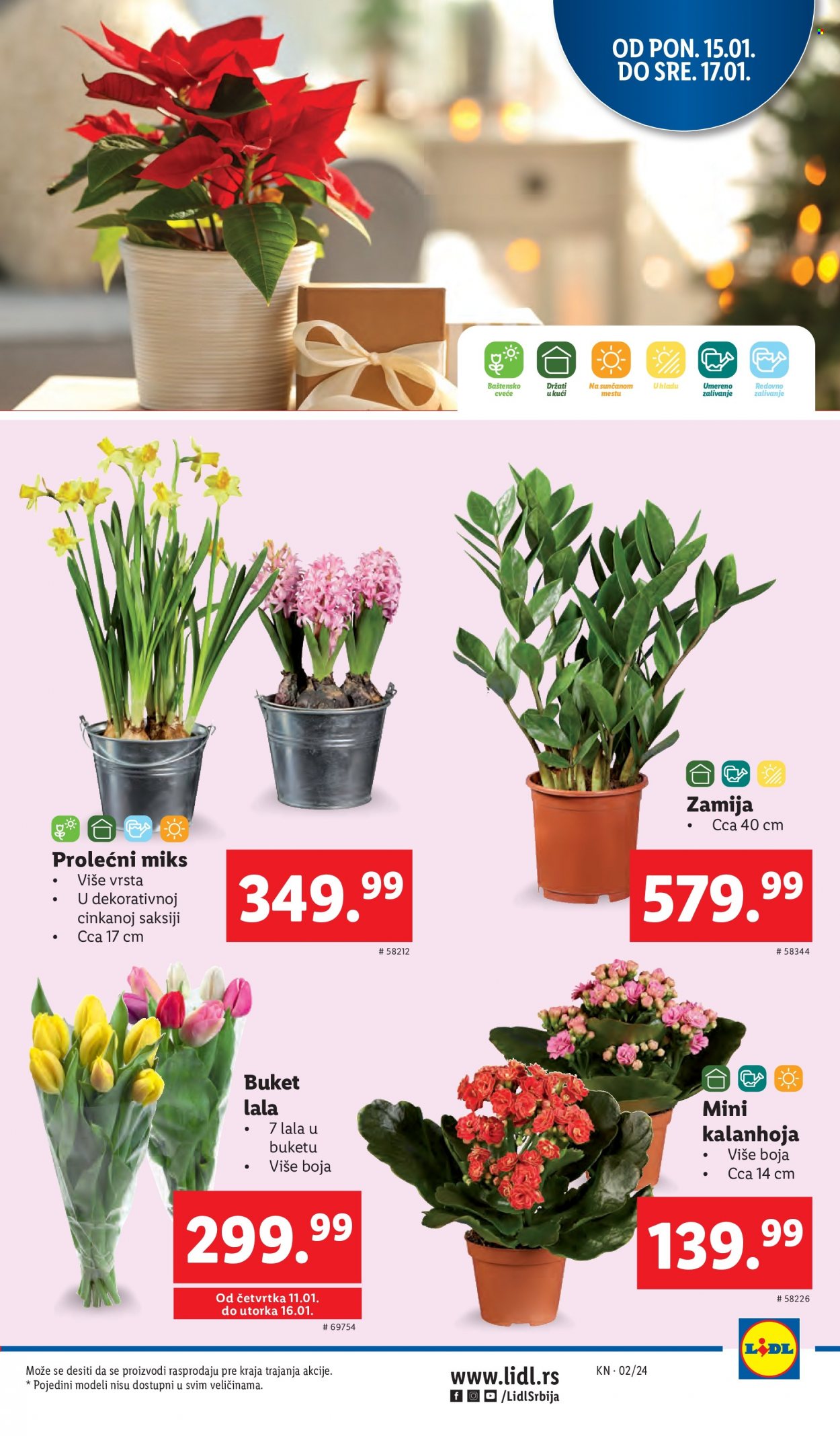 Lidl katalog - 11.01.2024 - 17.01.2024. Stranica 25