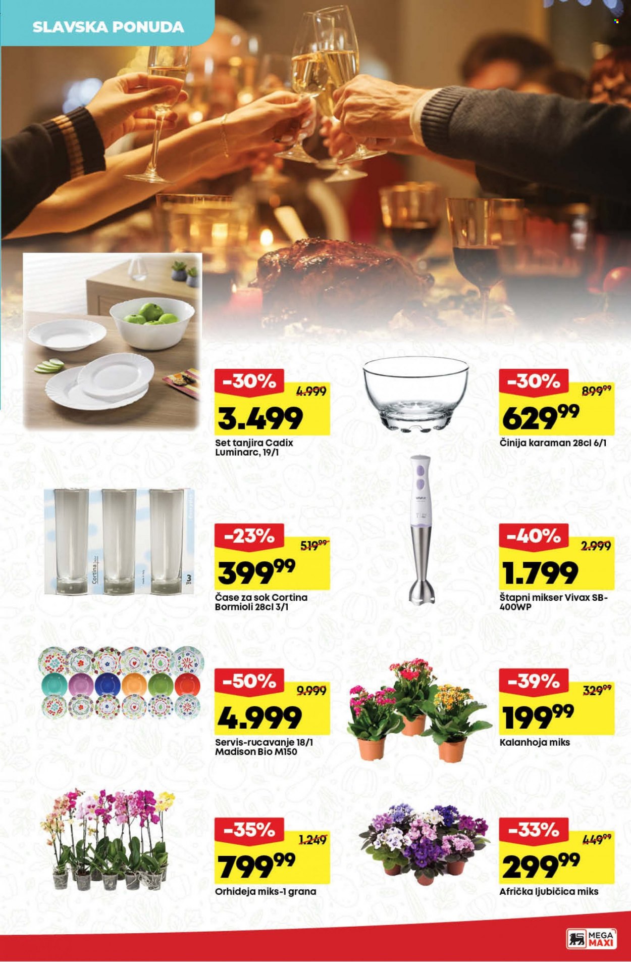 Mega Maxi katalog - 11.01.2024 - 17.01.2024. Stranica 31