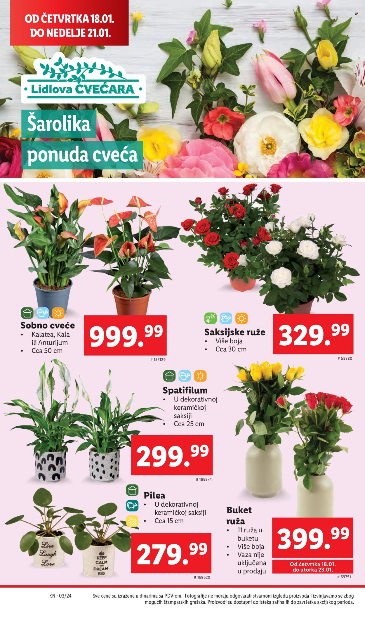 Lidl katalog - 18.01.2024 - 24.01.2024. Stranica 18