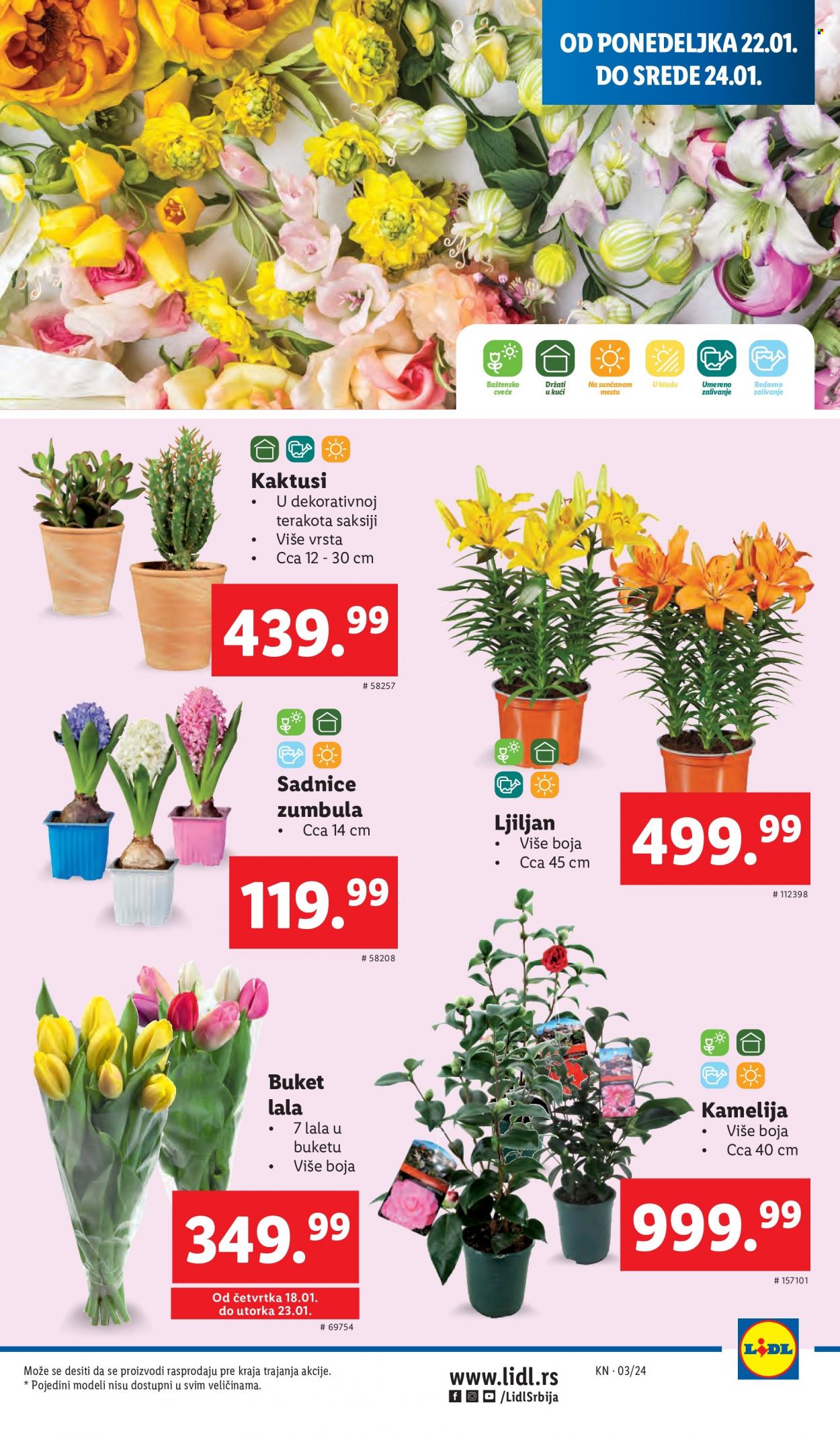 Lidl katalog - 18.01.2024 - 24.01.2024. Stranica 19