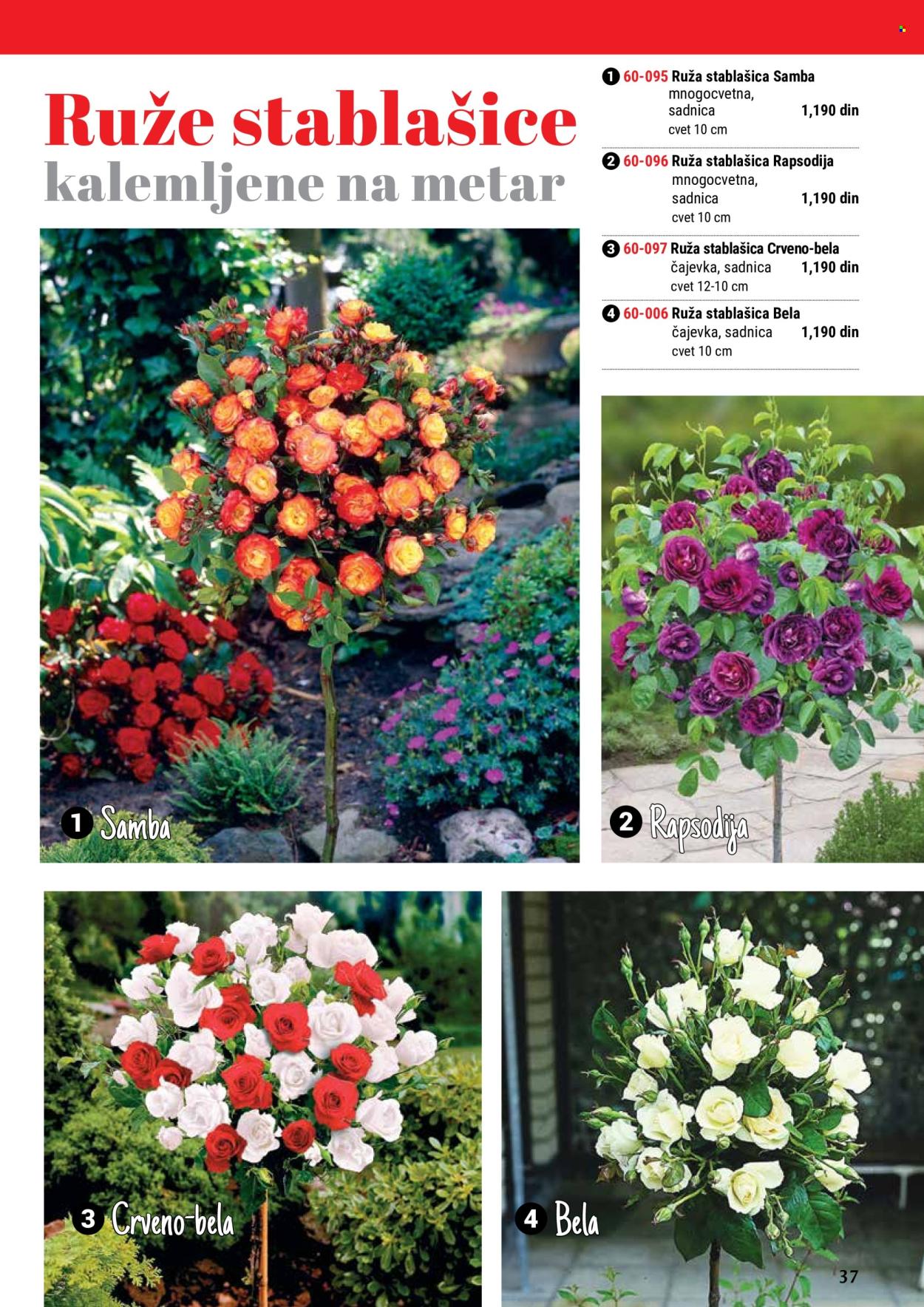 Flora Ekspres katalog. Stranica 37