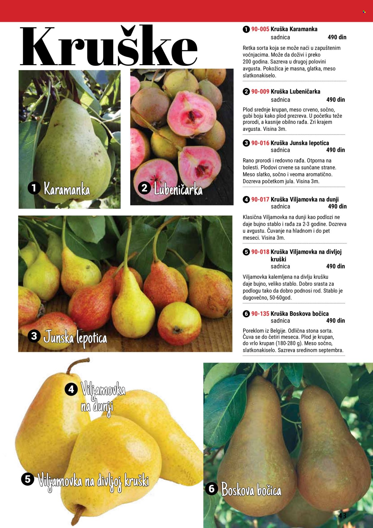Flora Ekspres katalog. Stranica 43