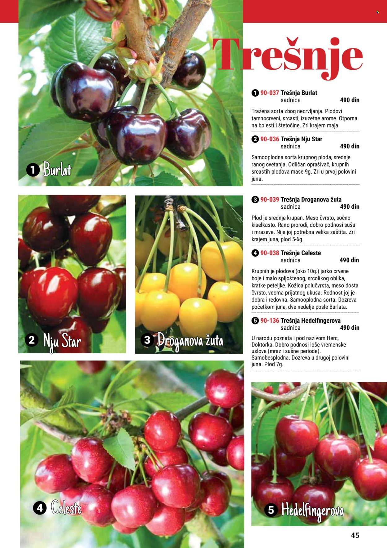 Flora Ekspres katalog. Stranica 45