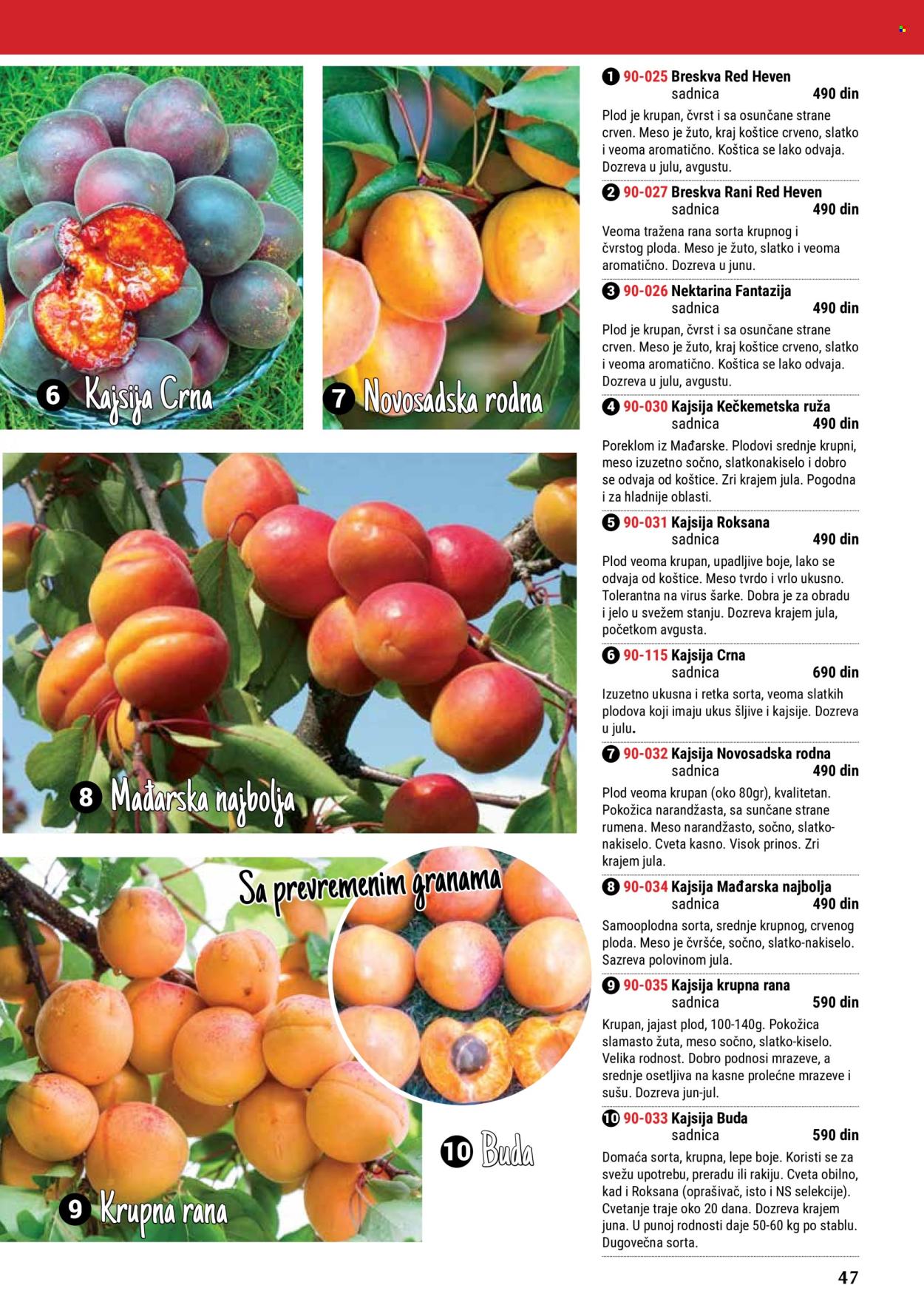 Flora Ekspres katalog. Stranica 47