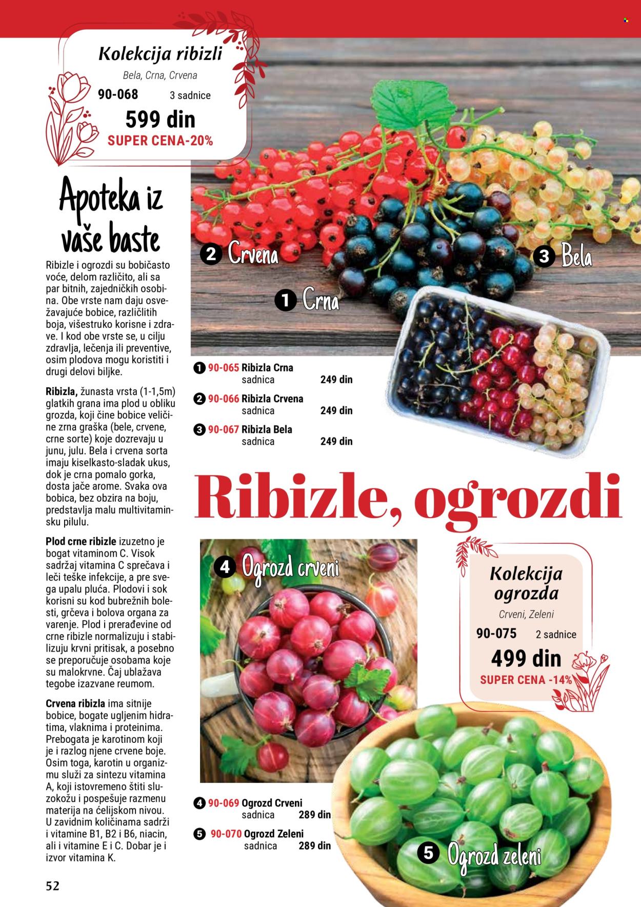Flora Ekspres katalog. Stranica 52