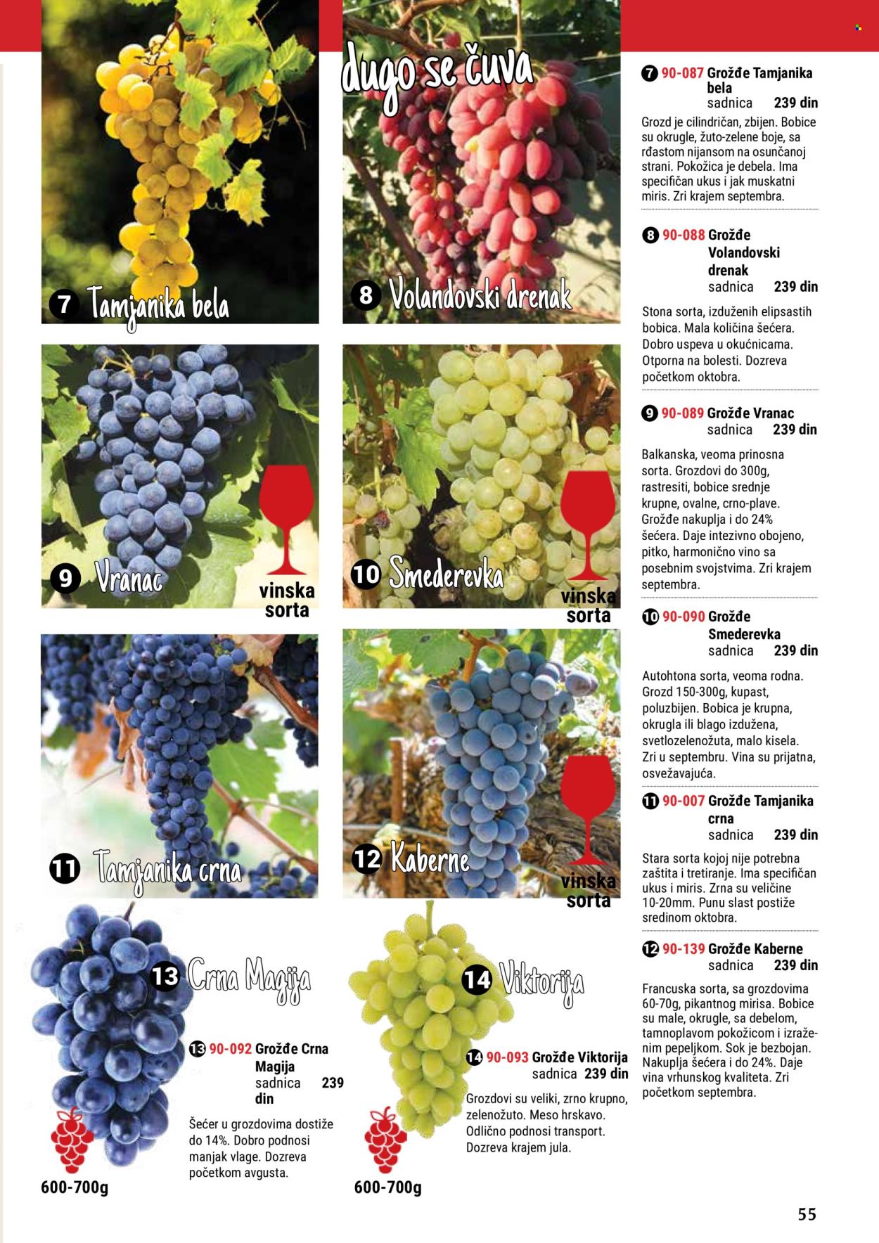 Flora Ekspres katalog. Stranica 55