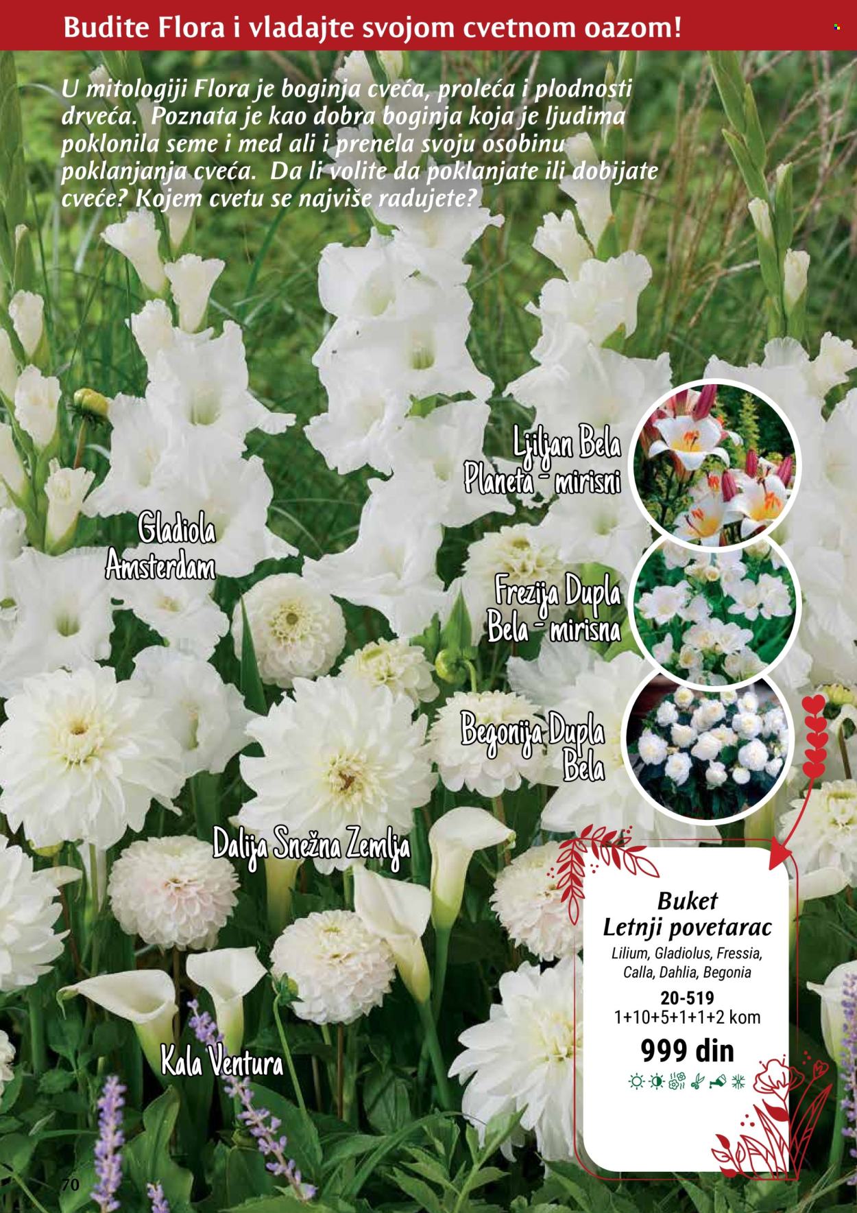 Flora Ekspres katalog. Stranica 70