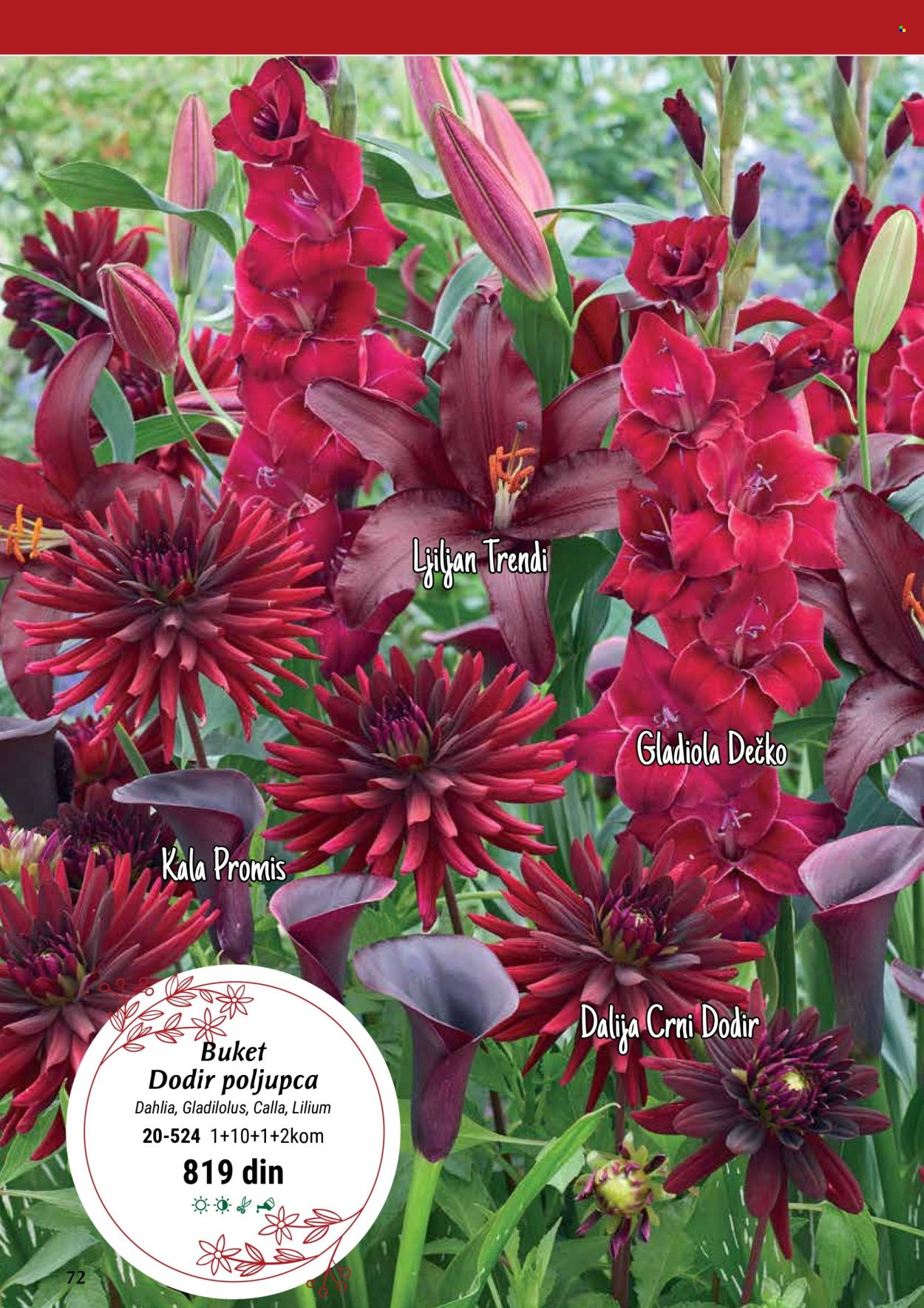 Flora Ekspres katalog. Stranica 72