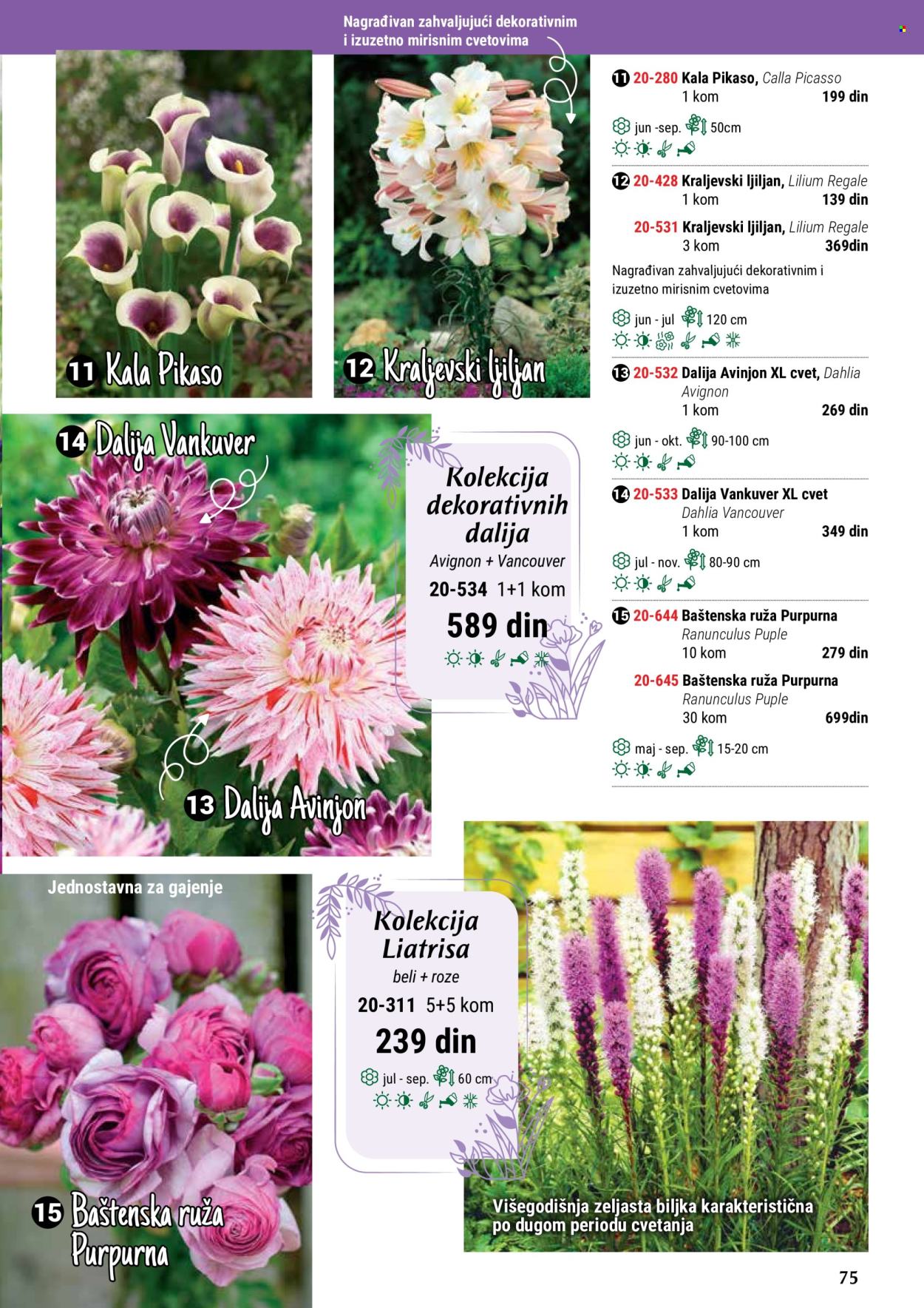 Flora Ekspres katalog. Stranica 75