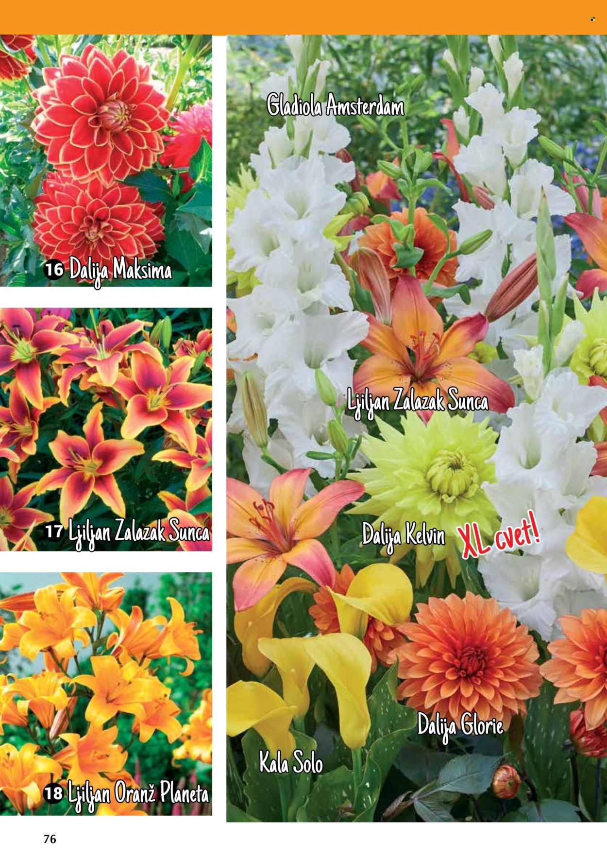 Flora Ekspres katalog. Stranica 76