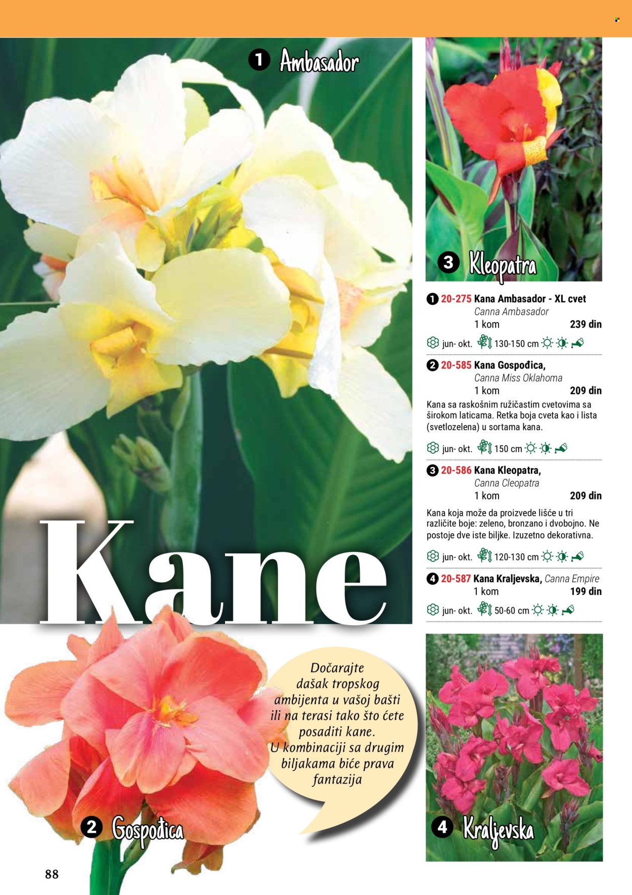 Flora Ekspres katalog. Stranica 88
