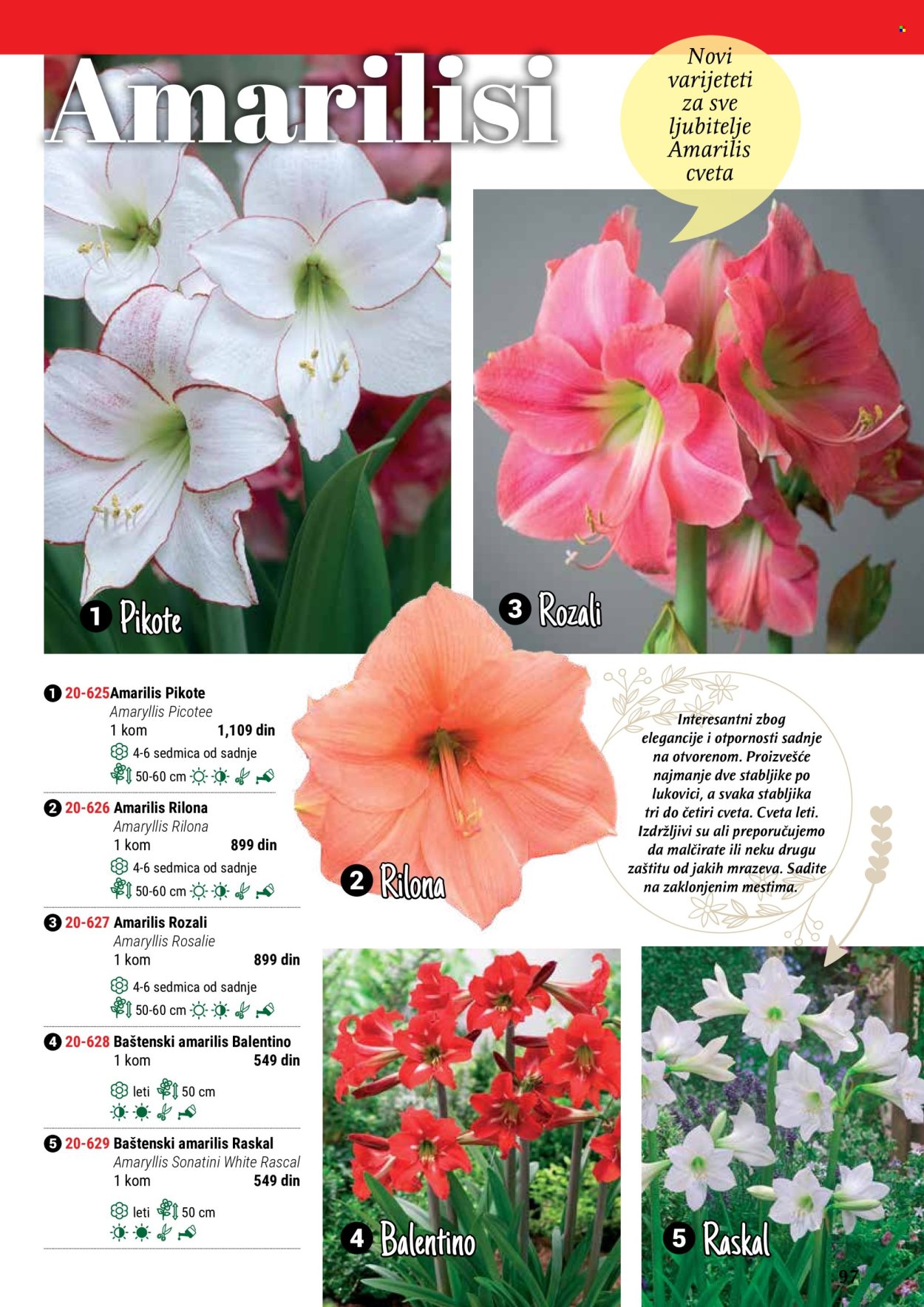 Flora Ekspres katalog. Stranica 97