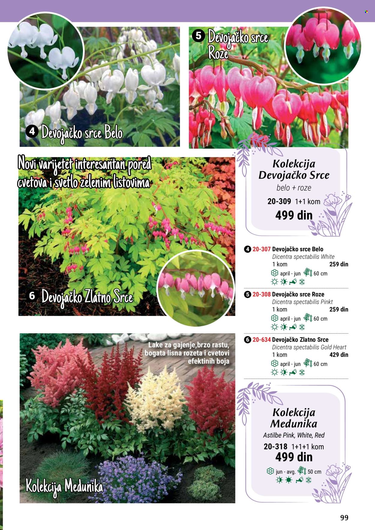 Flora Ekspres katalog. Stranica 99