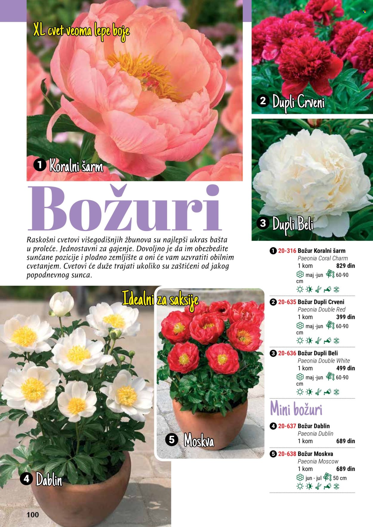 Flora Ekspres katalog. Stranica 100