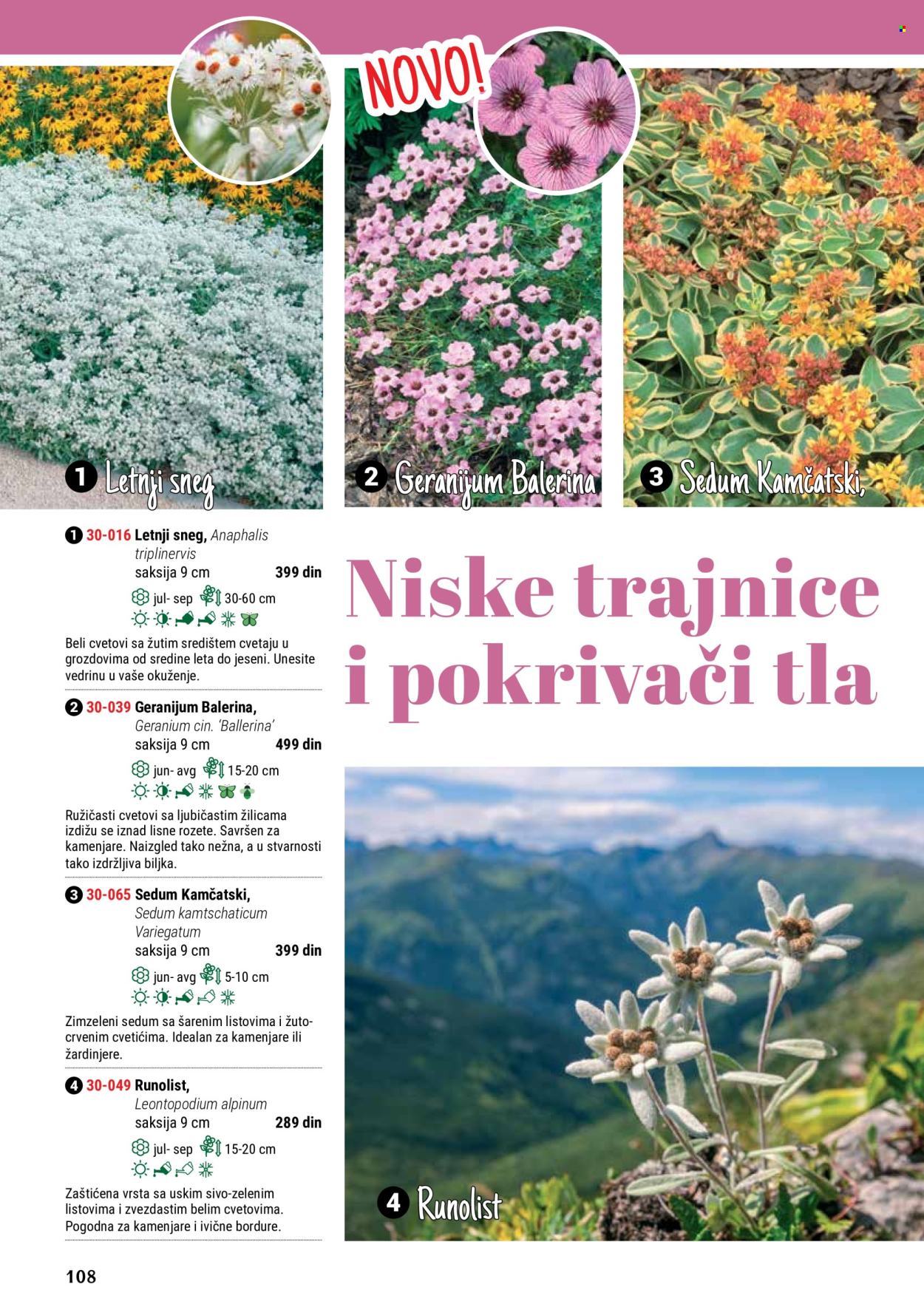 Flora Ekspres katalog. Stranica 108