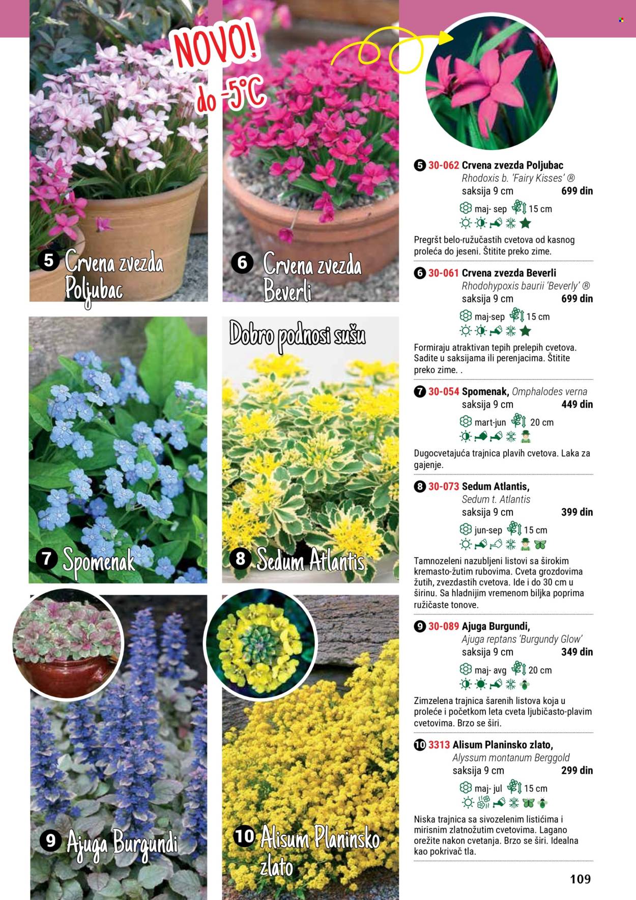 Flora Ekspres katalog. Stranica 109
